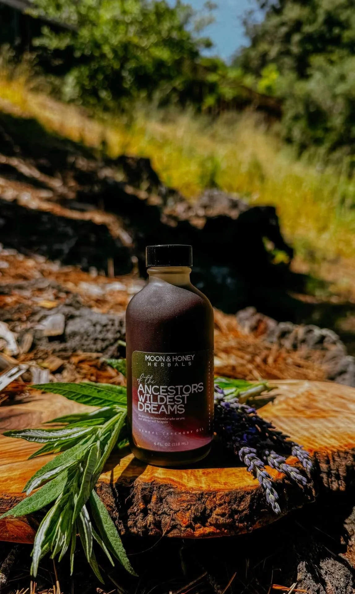 Ancestral Herbal Infused Body Oil Moon and Honey.jpg