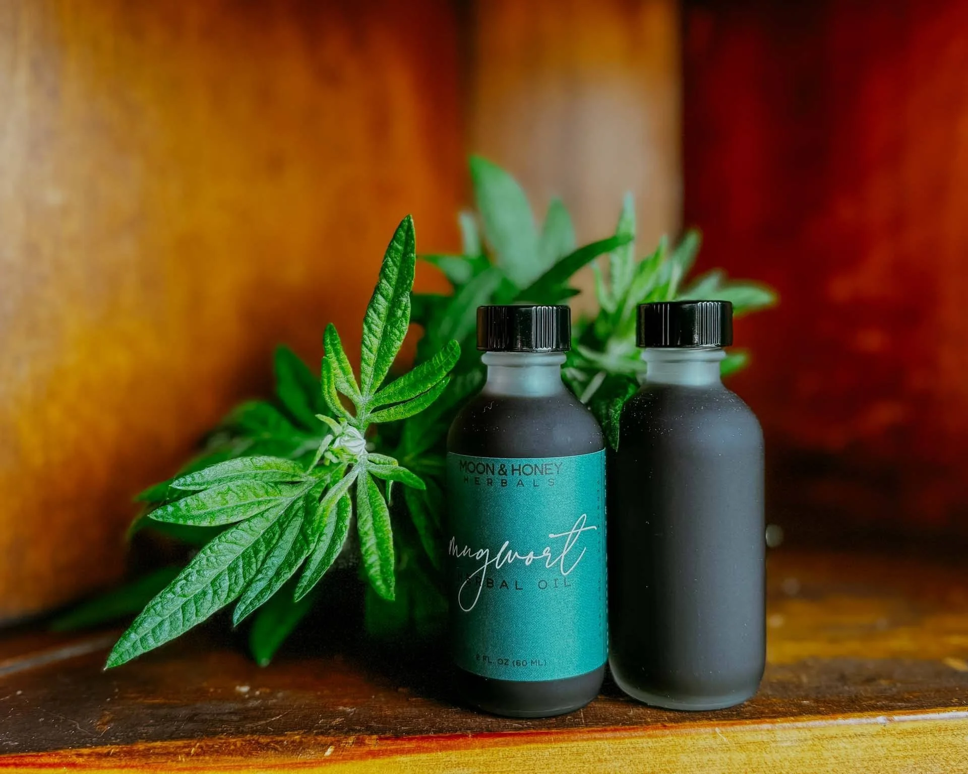 mugwort herbal oil
