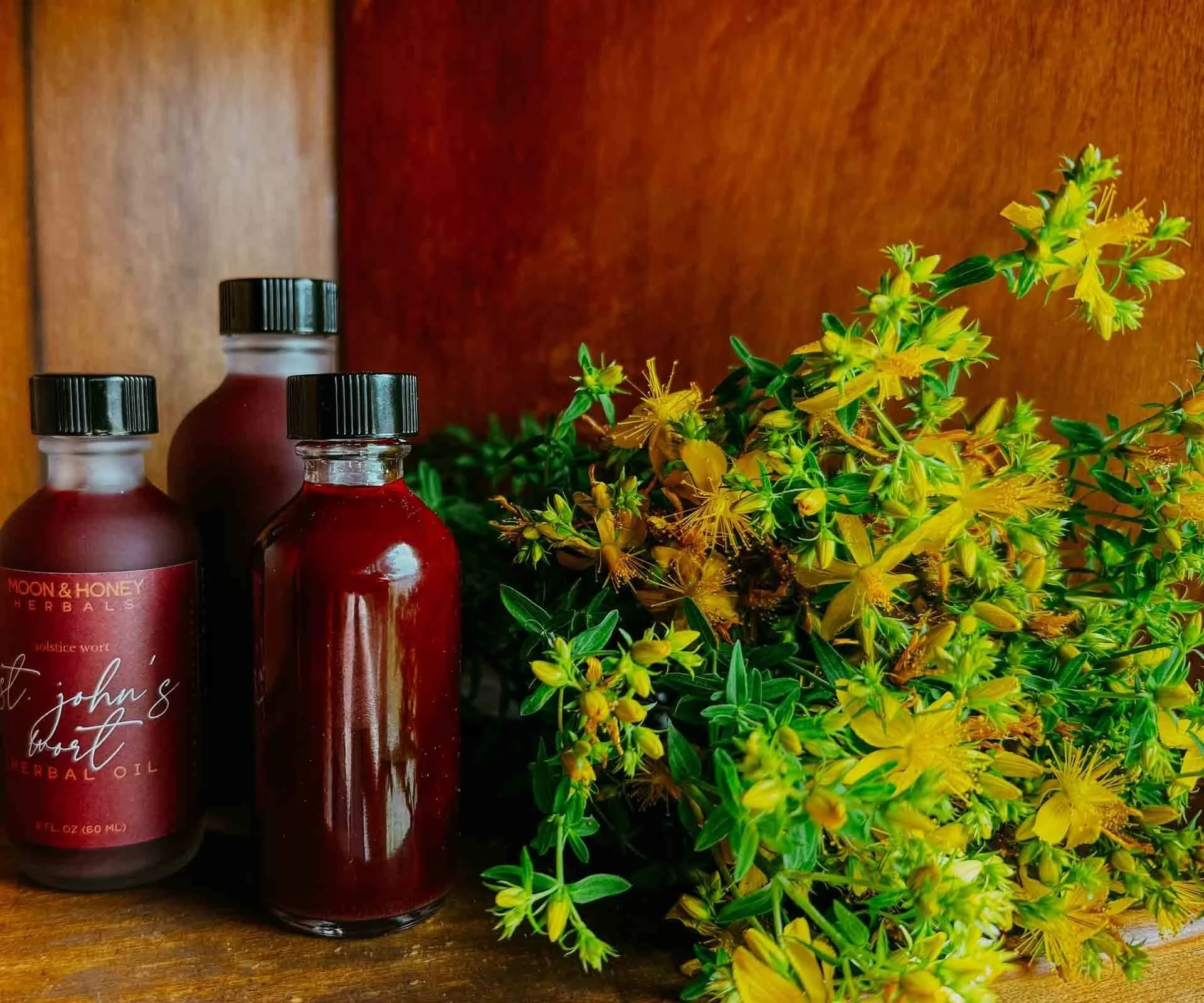 St Johns Wort Infused Body Oil Moon and Honey.jpg