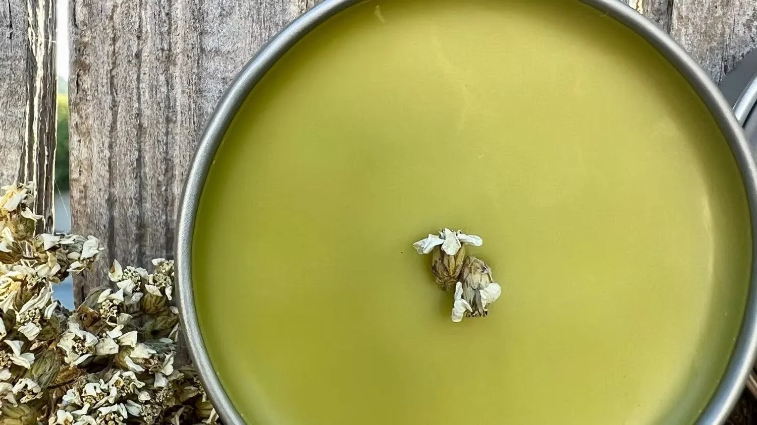 Botanical Balm for Varicose Vein Care.jpg