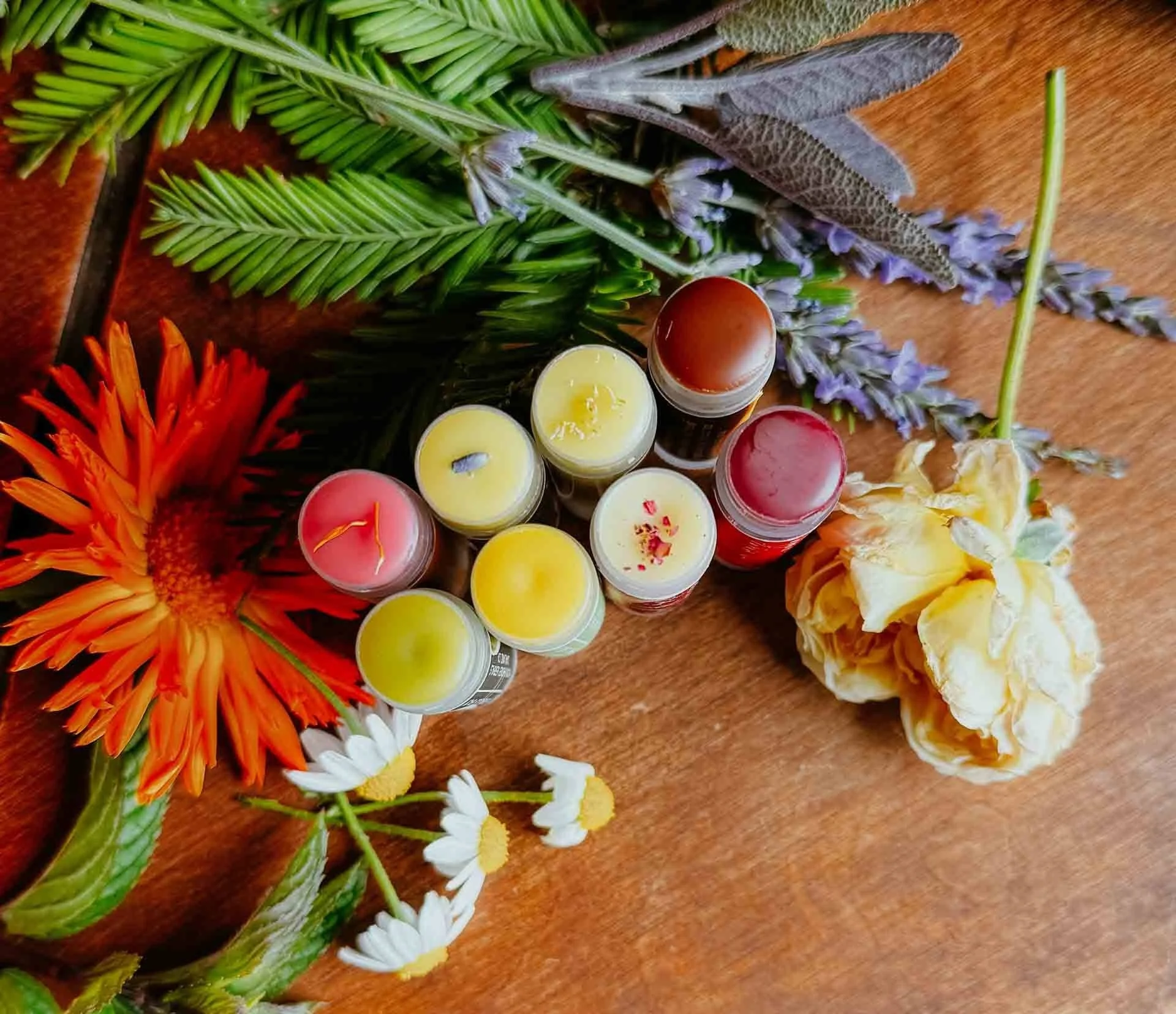 Herbal Infused Lip Balm Moon and Honey.jpg