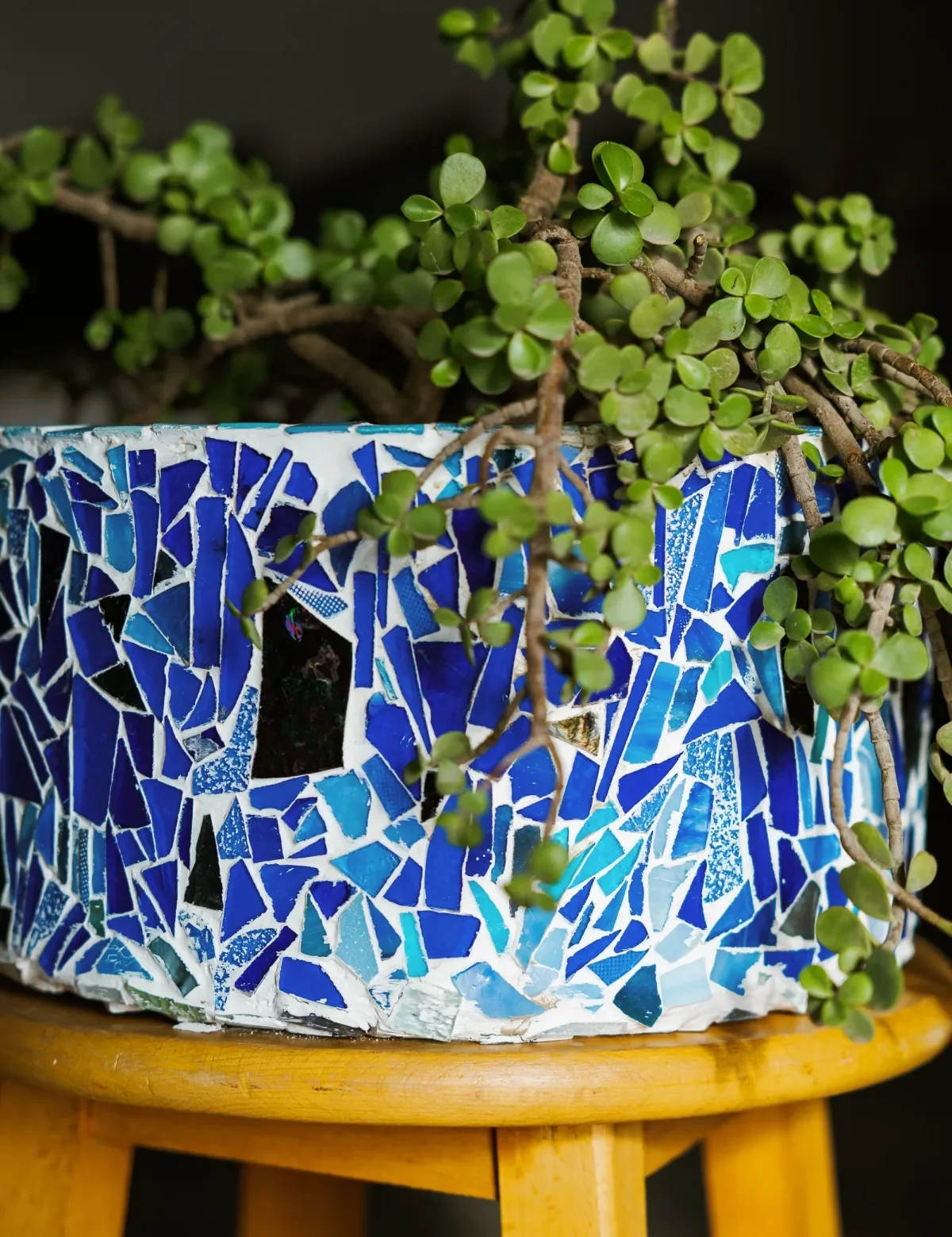  Sea Vessel   ø 35 cm, h 25 cm
Salvaged Ceramic & Glass