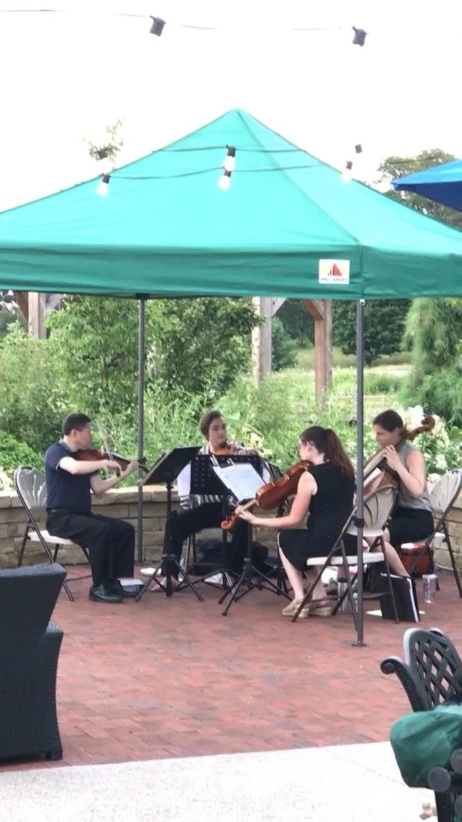 NGSO String Quartet Dawes Arboretum.jpeg