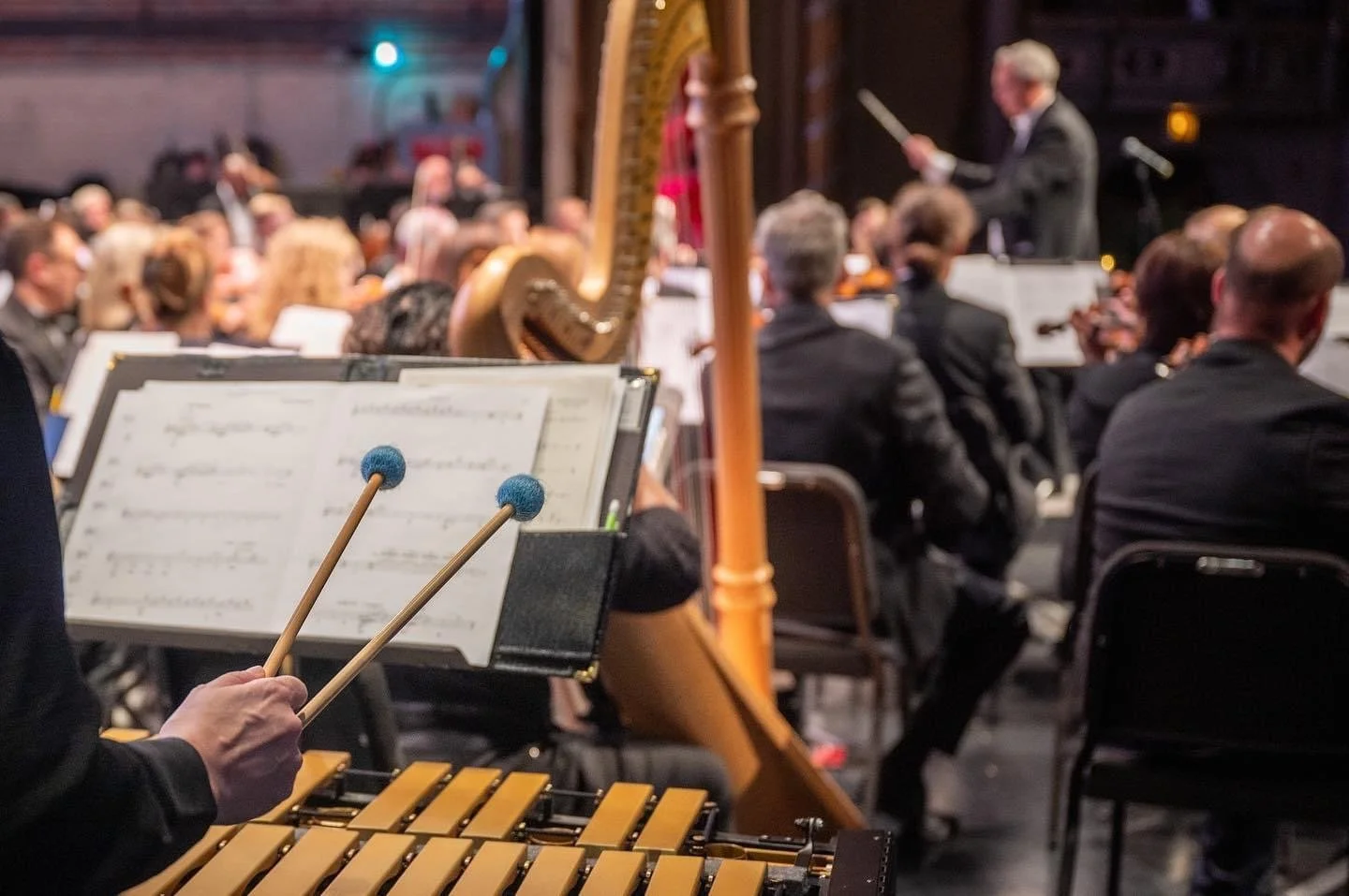 Percussion shot at concert.JPG