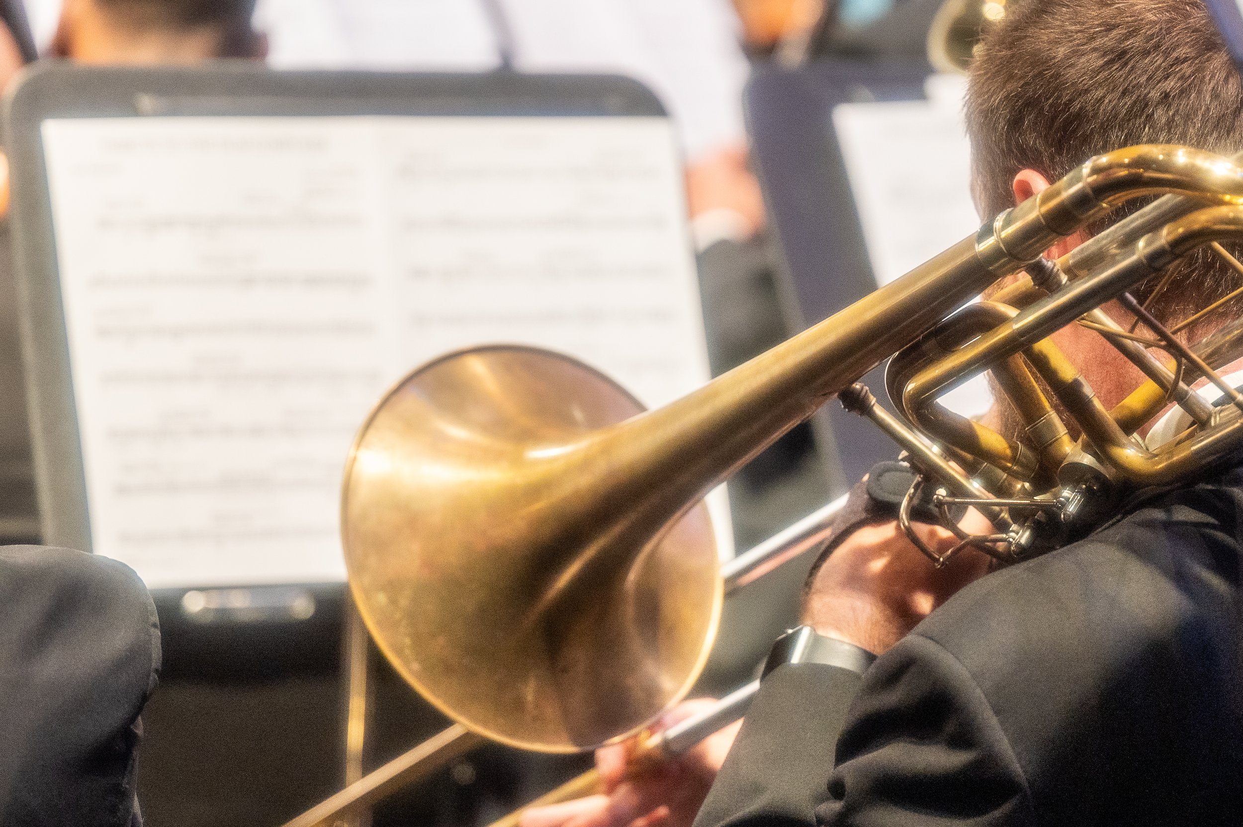 Trombone at concert.jpg