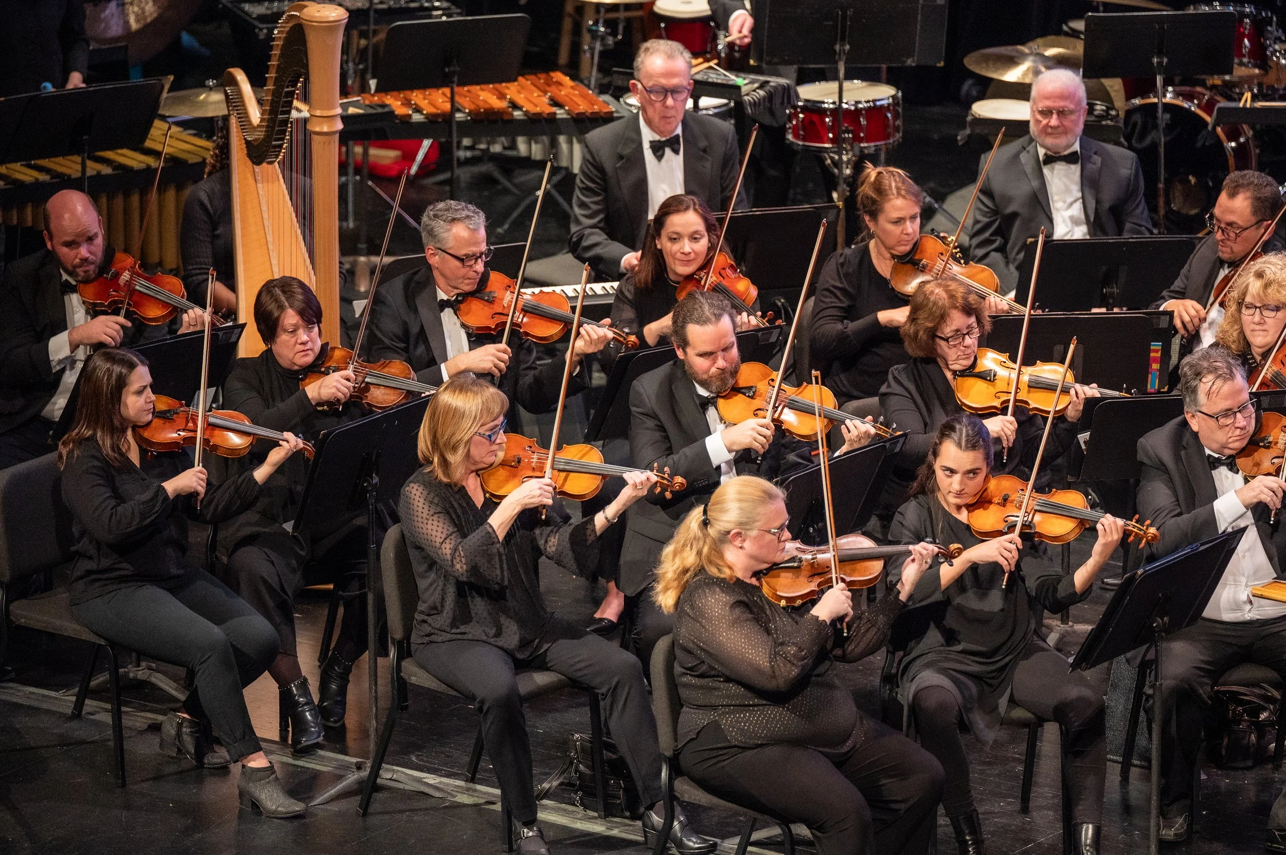 Violin section in performance.jpg