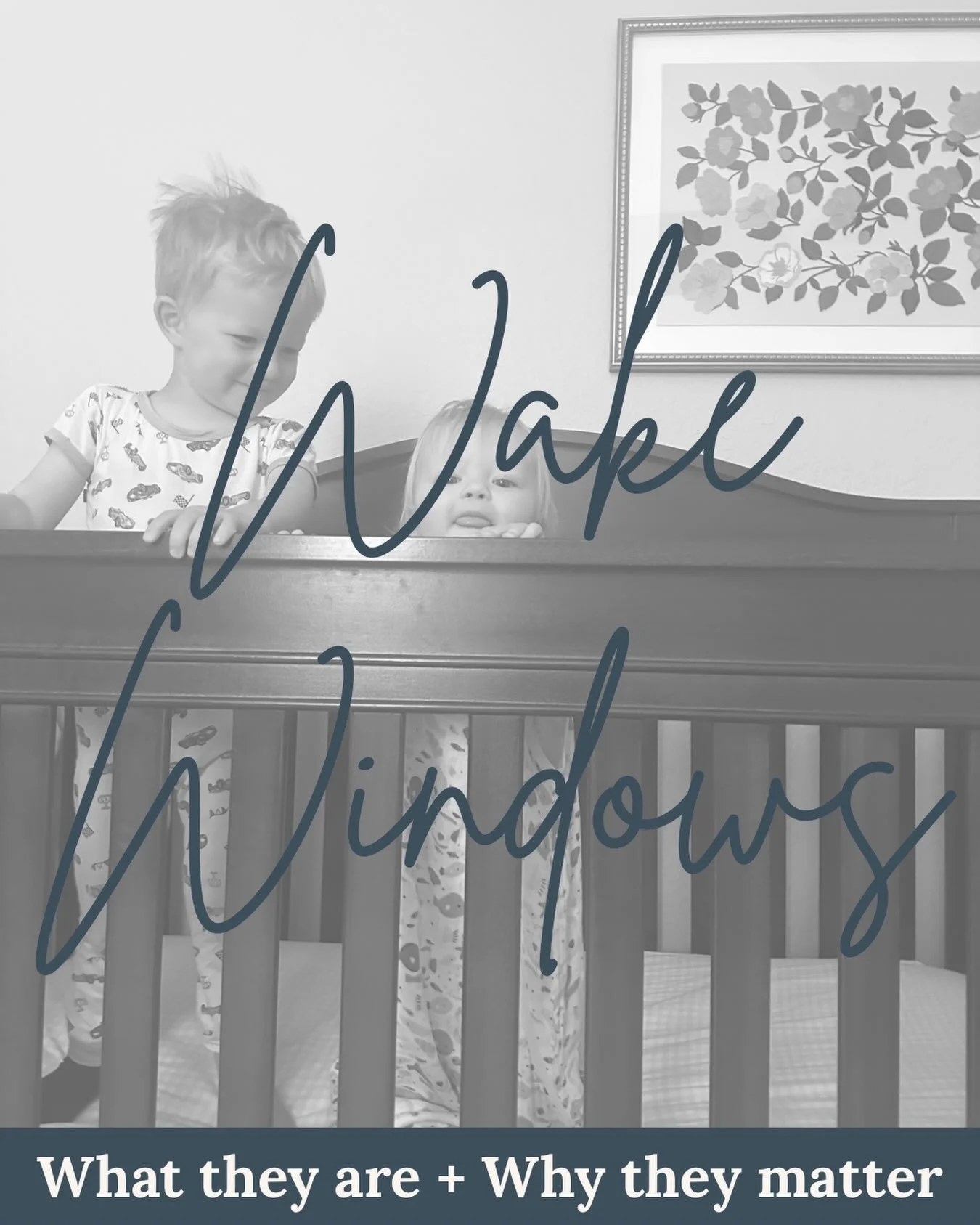 What exactly is a wake window? 👶🏼💤

A wake window is simply the amount of time your baby is awake between one sleep period and the next.

For example, if your baby wakes from a nap at 10:00 and falls asleep again at 11:15, their wake window was ab