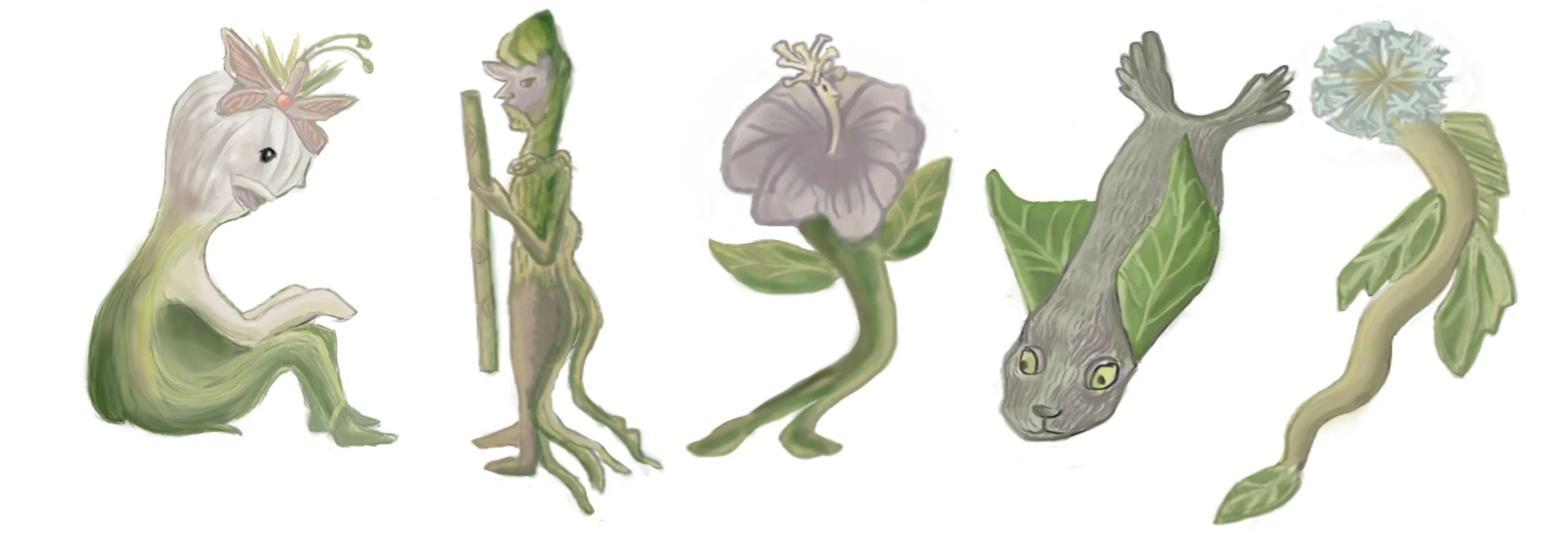 Illustration