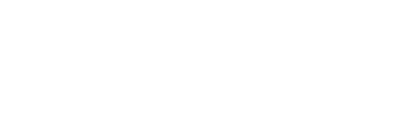 The word 'PERL' written in white text on a black background.