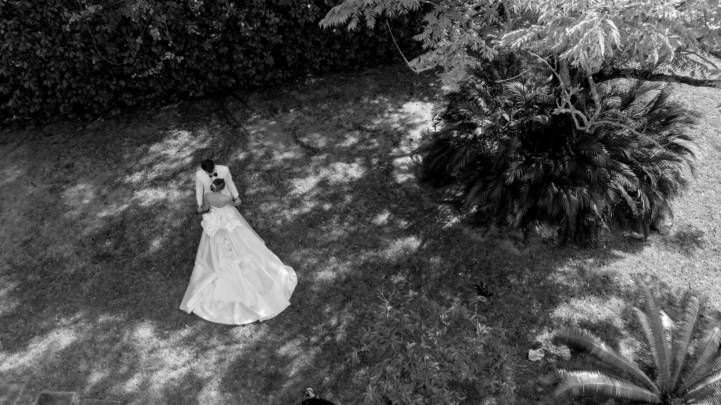 A couple dressed in wedding attire standing outdoors in a garden, viewed from above, with trees and foliage surrounding them.