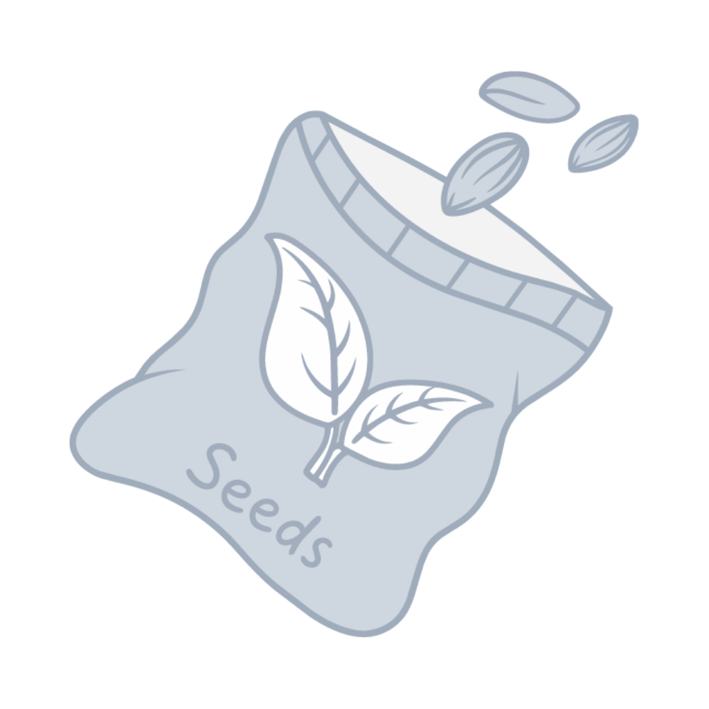 An open packet labeled Seeds with a leaf icon and seeds pouring out, symbolizing the growth of business efficiency.