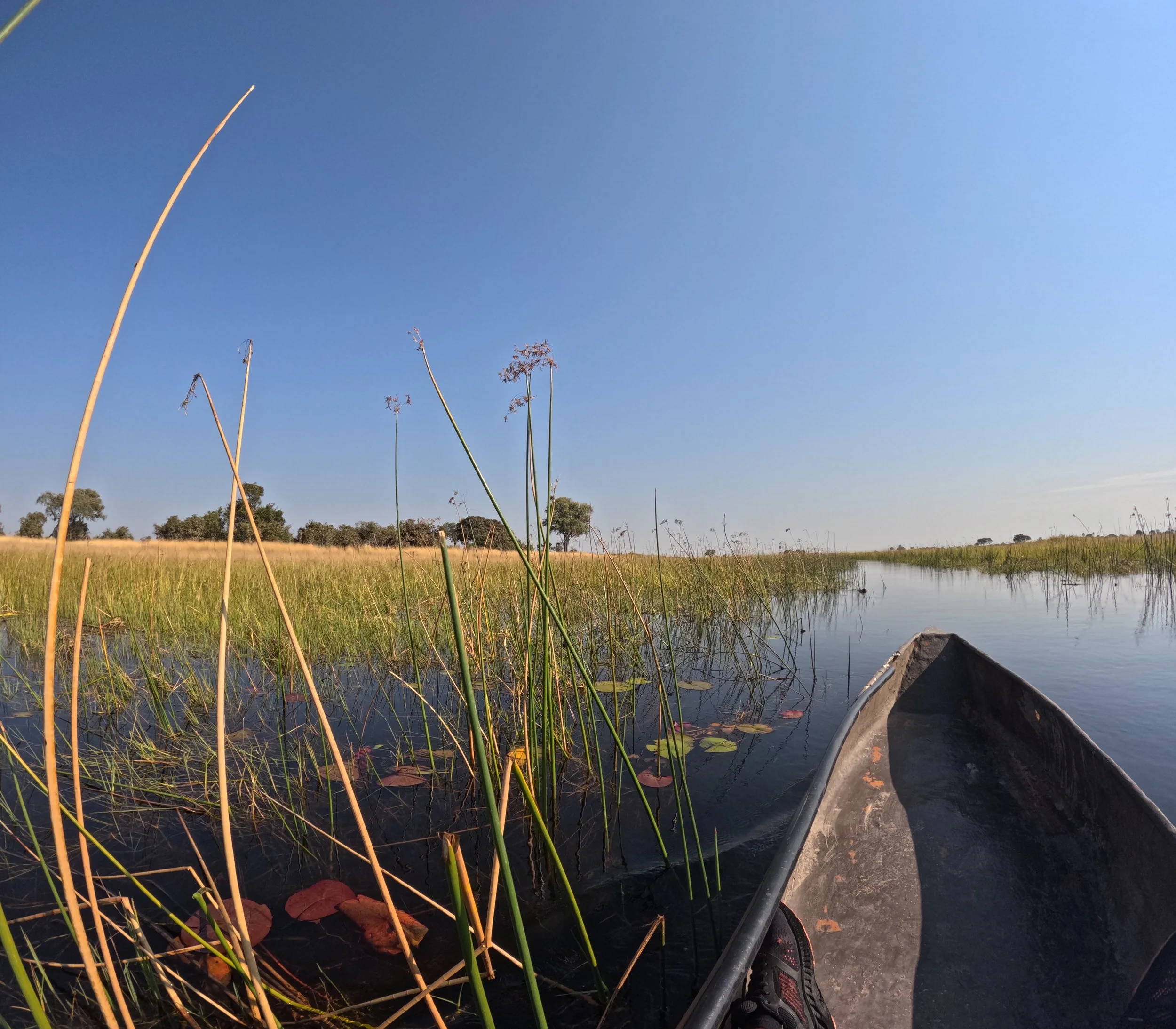 A view from a boat on a calm river or lake with boats on the water and trees in the distance under a clear blue sky. The photo includes part of a person's legs and shoes in the boat.