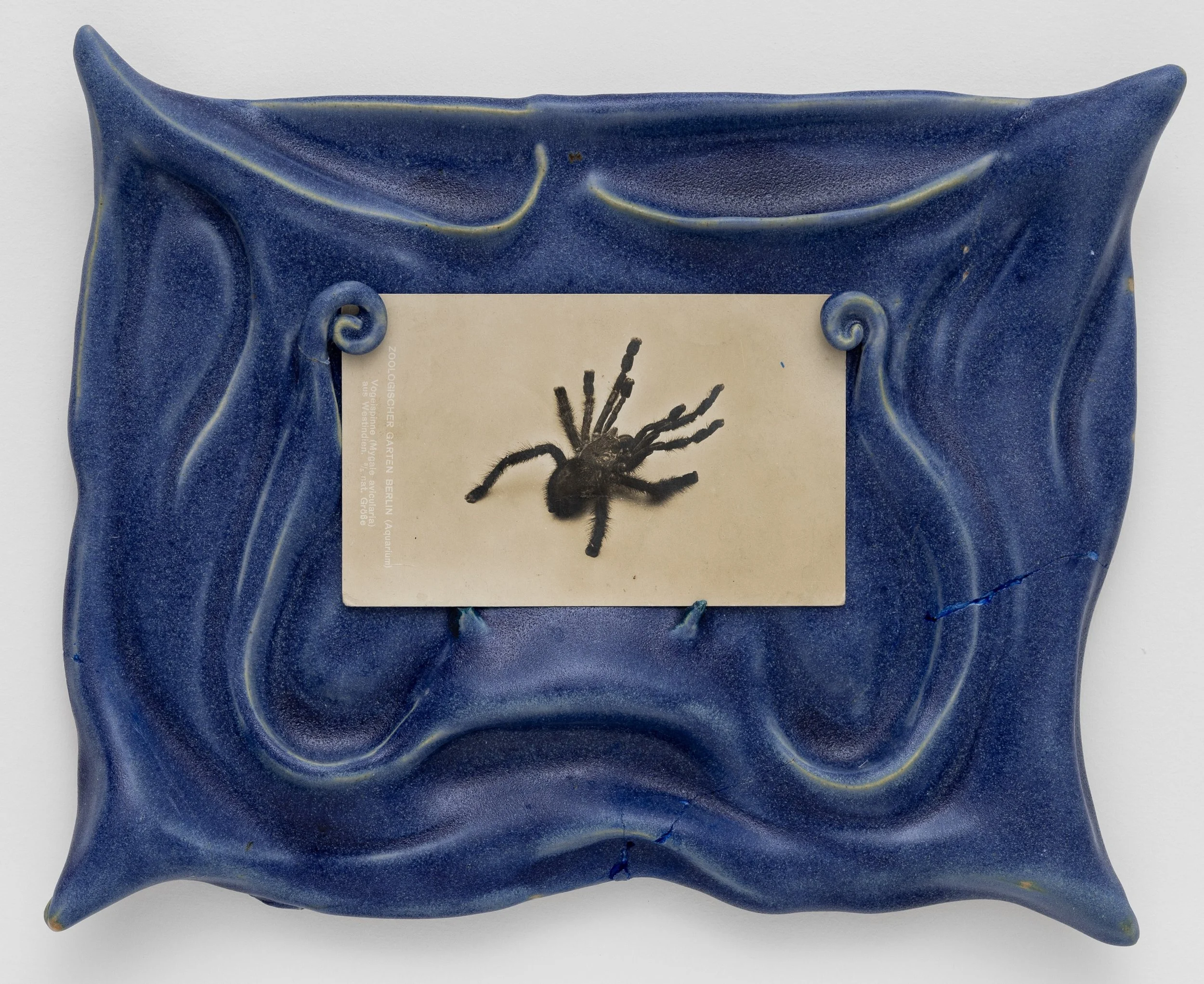 Bobby Walsh
Untitled (Spider),2025