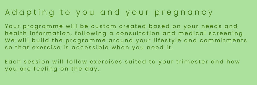 Text about a personalised pregnancy exercise program, emphasising consultation, lifestyle, and trimester-specific exercises.