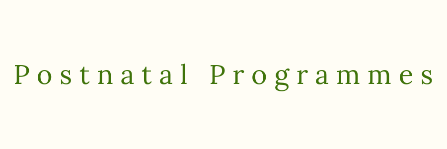 Postnatal Programs written in green text on a light background