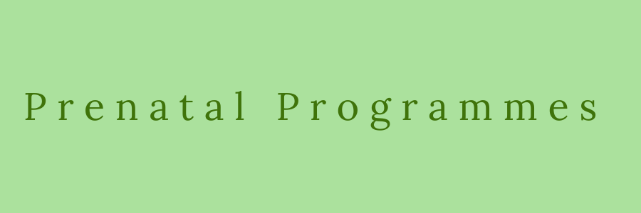 Green background with the text 'Prenatal Programs' in dark green.
