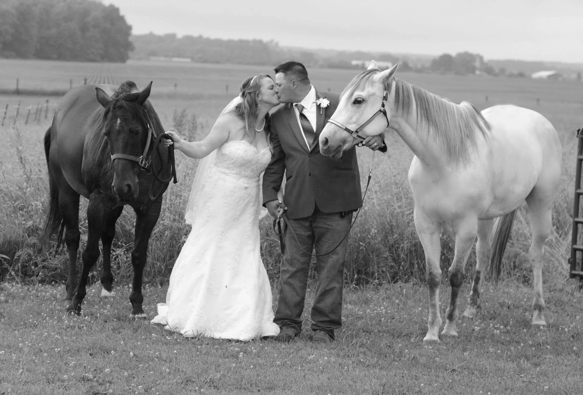 Bride & Groom Kissing with horses
