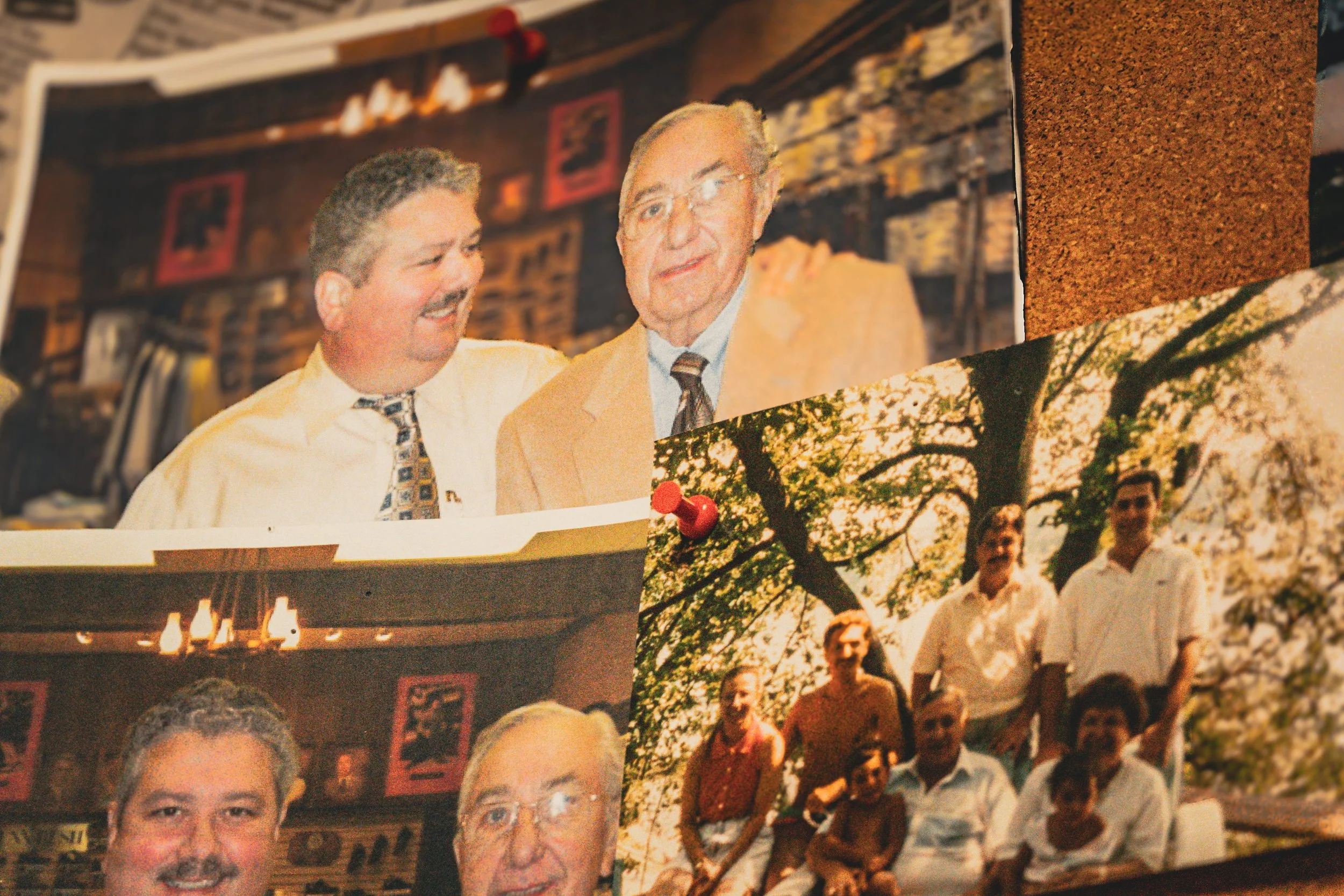 Collage of portraits of various people, some smiling, with a background of trees and a building with a chandelier, pinned to a corkboard.