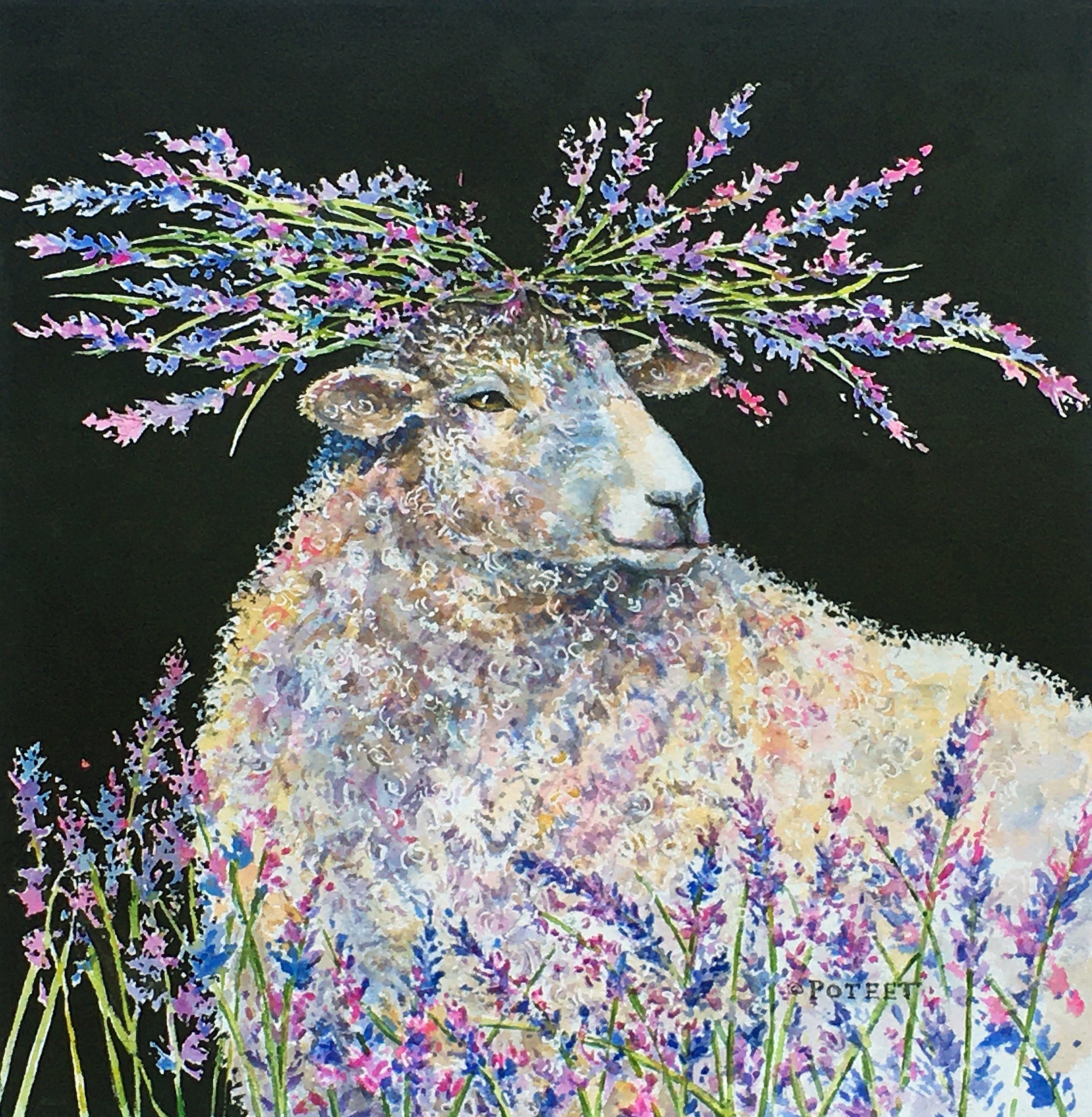 Poteet-Sheep with lavender.jpg