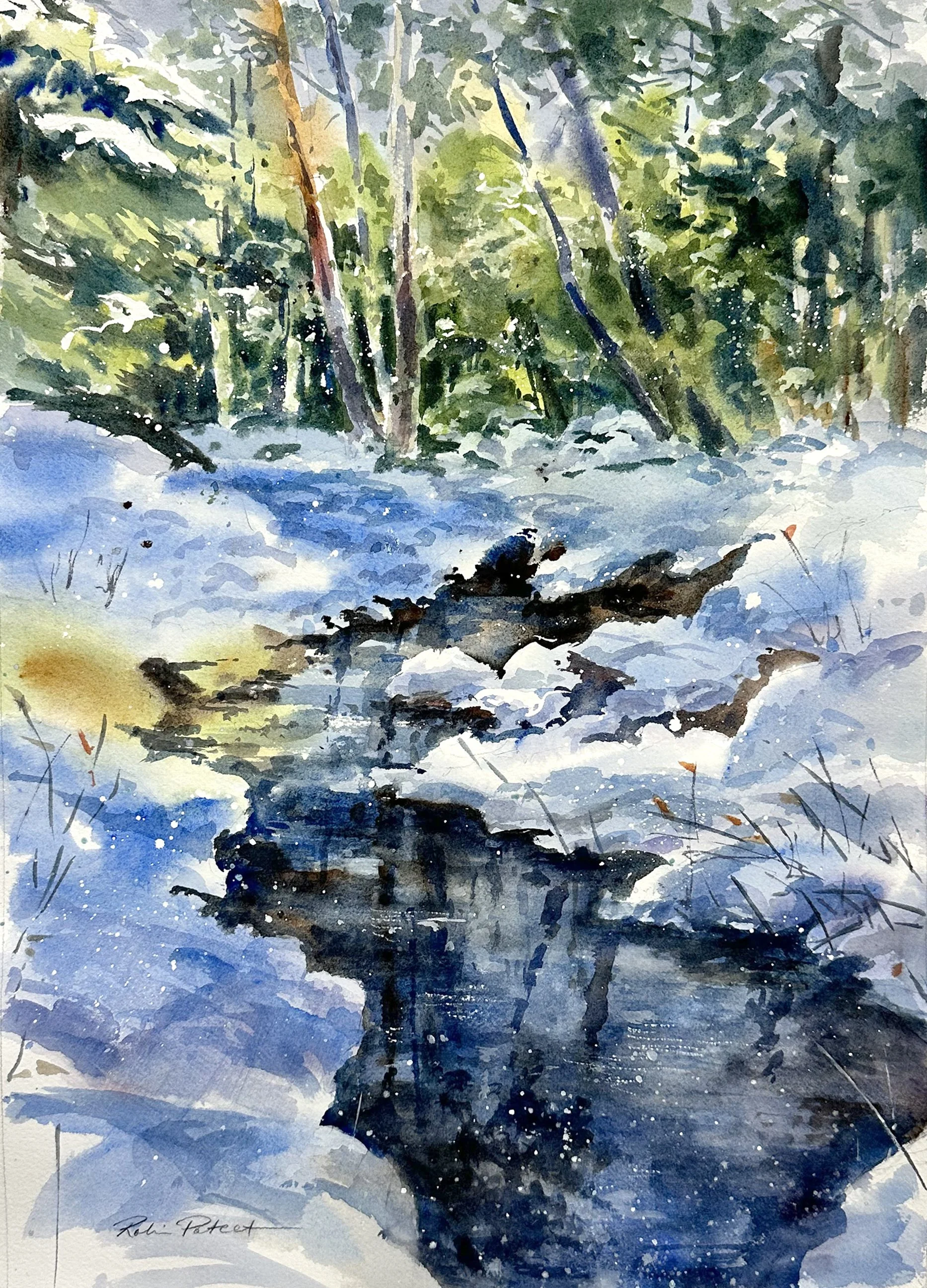 Winter Thaw snow scene.jpg