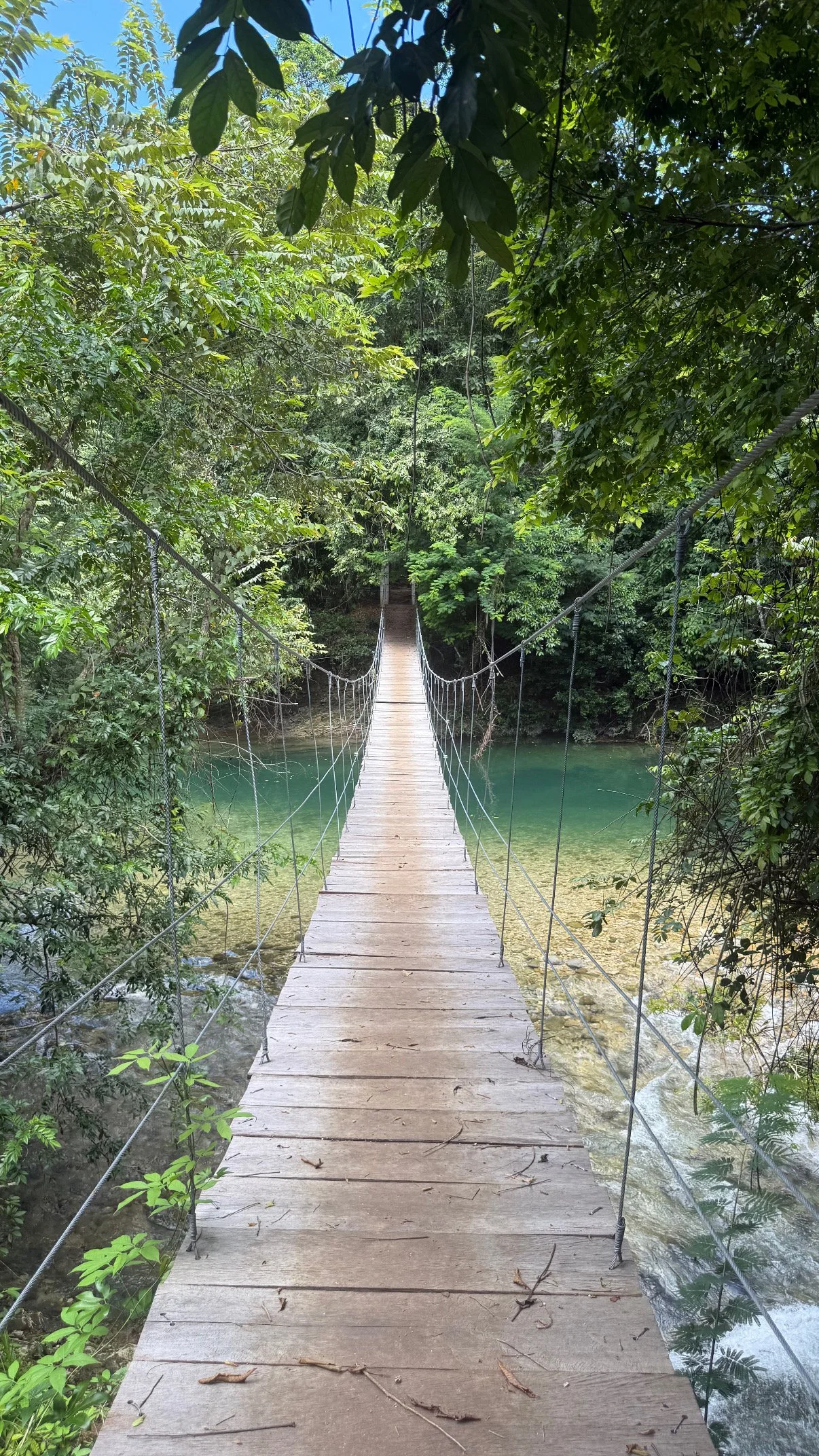 Wooden suspension bridge over a clear river in a lush green forest