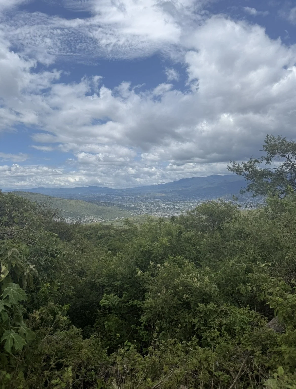 A scenic view of a wide valley with green hills and dense trees in the foreground, mountains in the distance, and a partly cloudy sky overhead.
