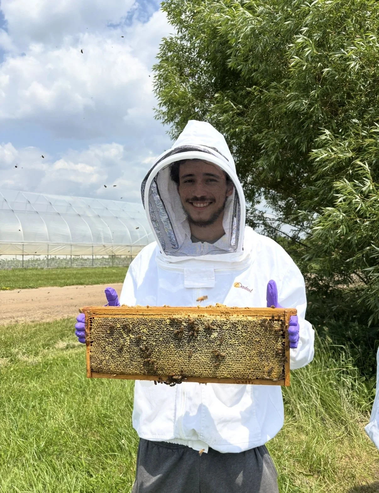 A man in protective beekeeping gear holding a honeycomb frame outdoors with green grass, trees, a greenhouse, and a partly cloudy sky in the background.