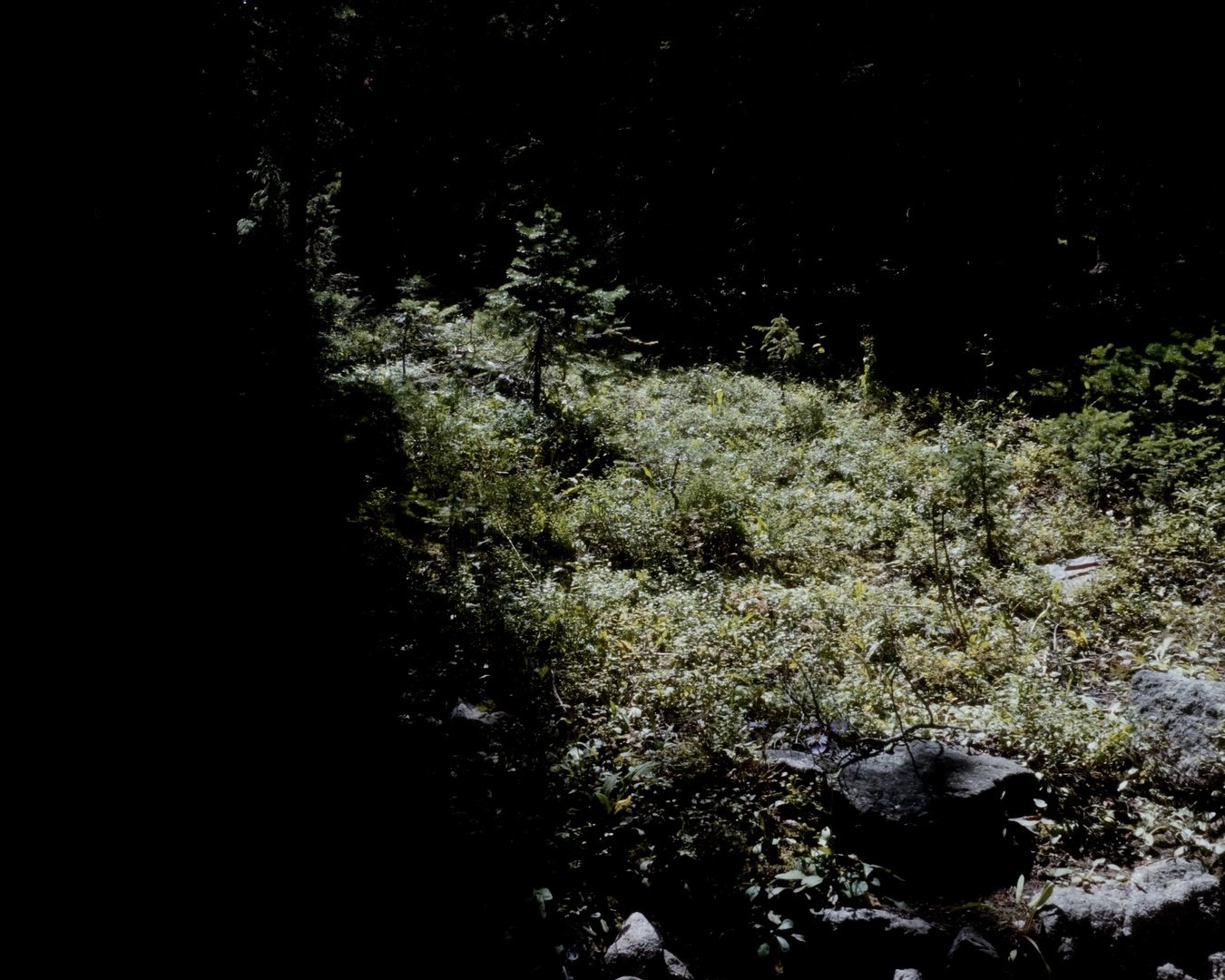Still 2026-06-28 071043_1.1.8.jpg