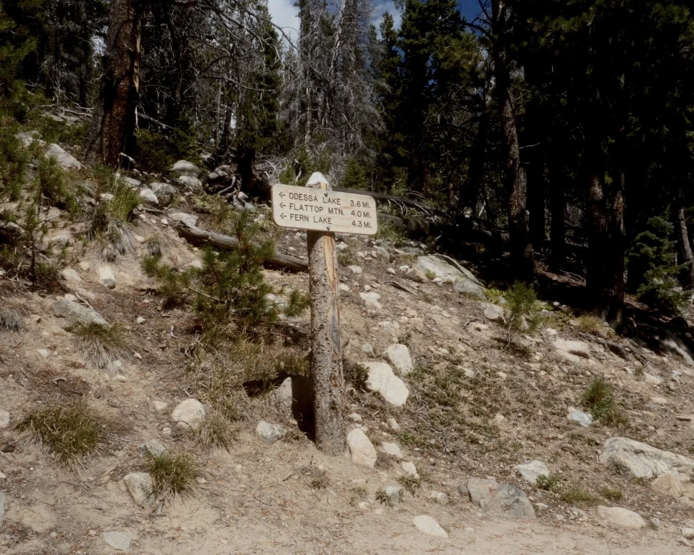 Still 2026-06-28 071043_1.1.4.jpg