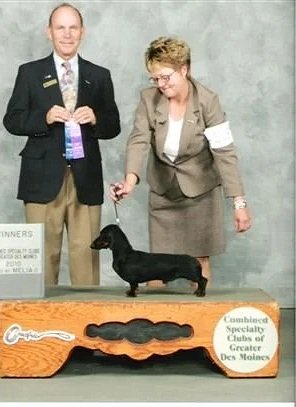DixieDox Locked & Loaded MS Dachshund Speciality  Trigger 2010