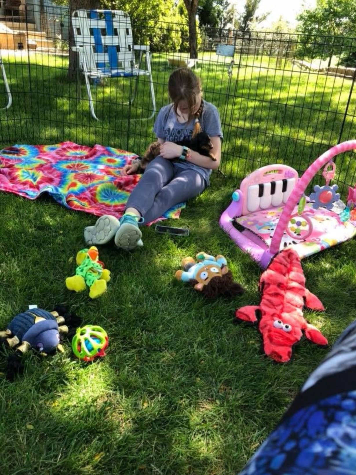 girl holding a black & tan puppy in toy pen.jpg