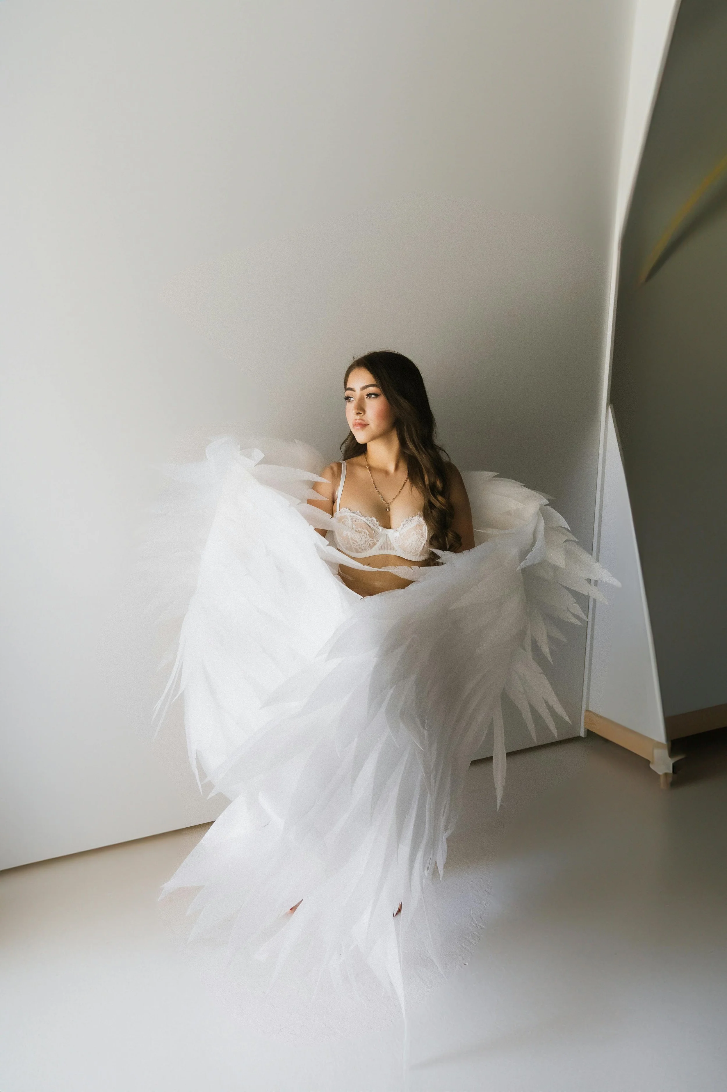 pexels-carlos-santiago-421908853-25559973.jpg
