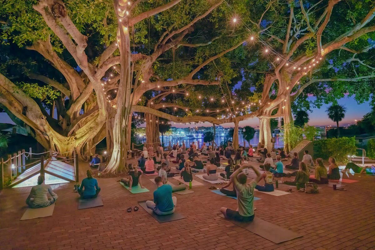 Twilight Yoga
