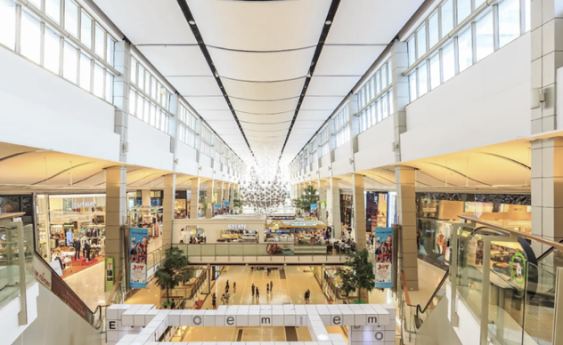 transportation to social outings and shopping