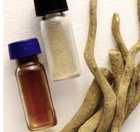 What to Know About Ibogaine: Some researchers hope the drug, still illegal in the United States, may be considered as a treatment for addiction, PTSD and brain injuries