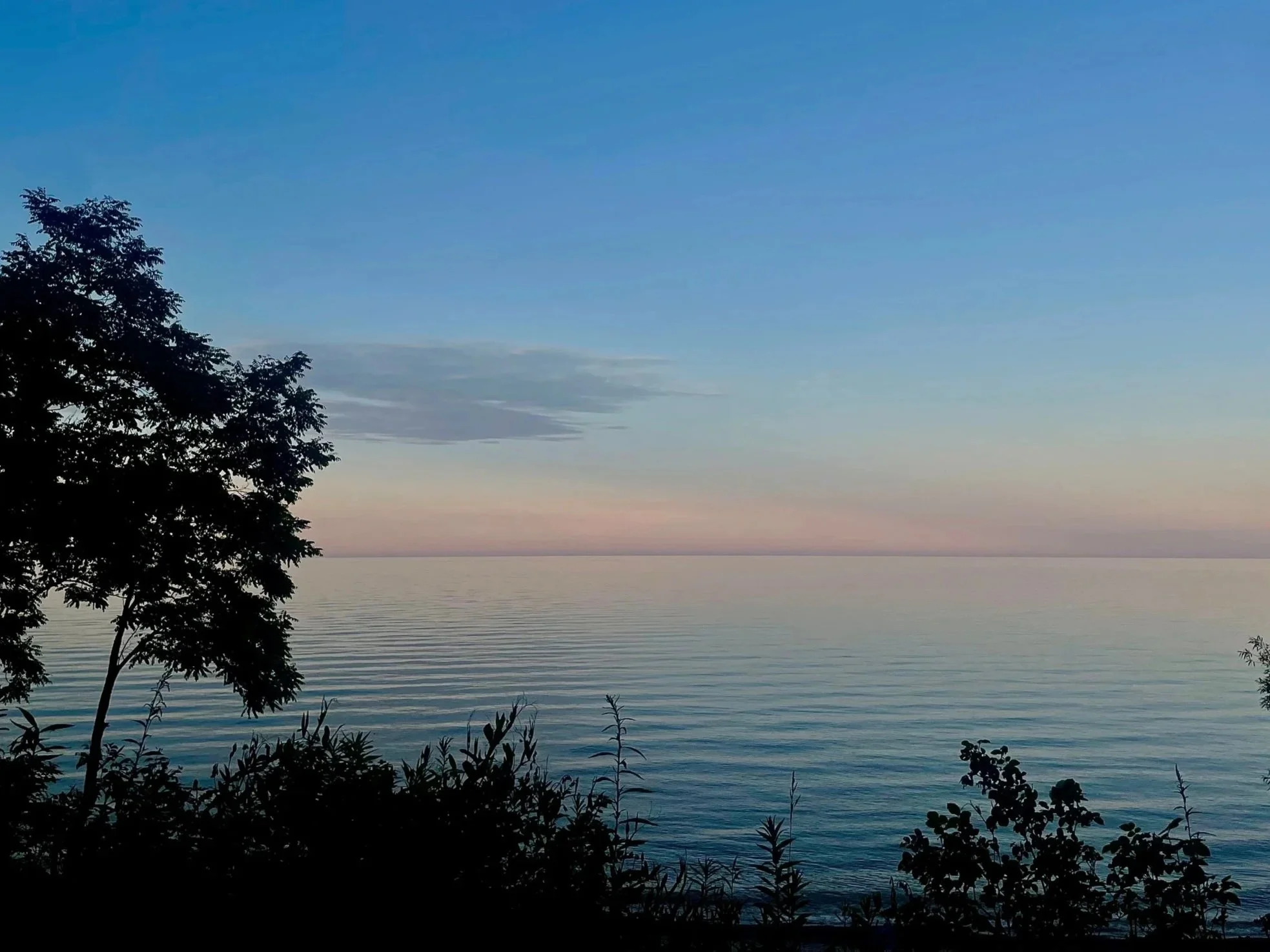 Silhouette of trees and plants along a body of water during twilight or dawn, with a gradient sky transitioning from pale pink near the horizon to blue higher up.