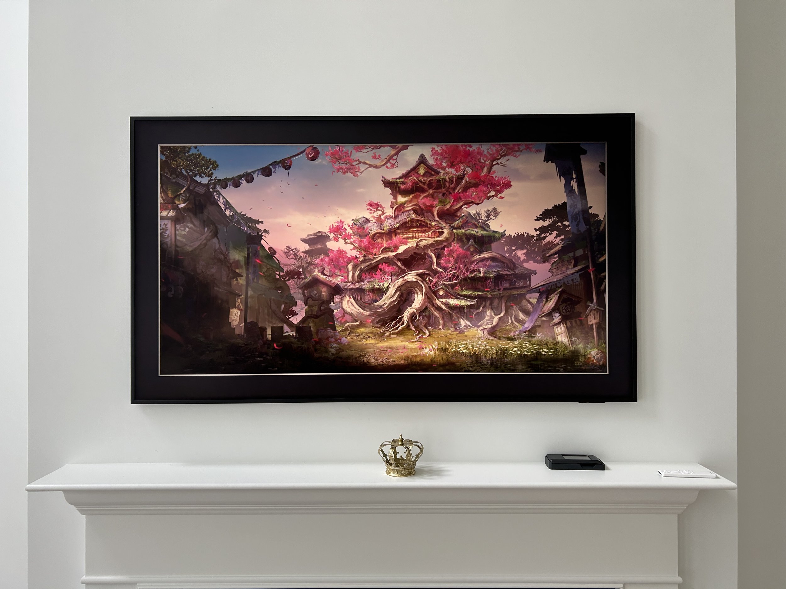 Basic TV Mounting