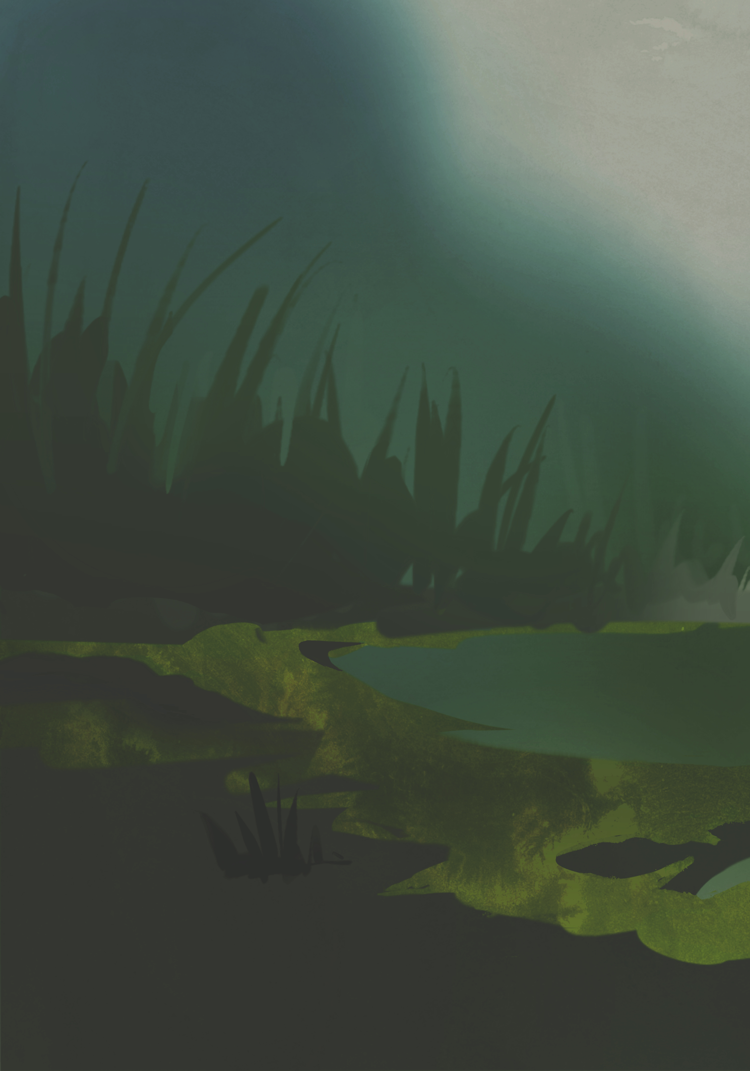 Pond Scum