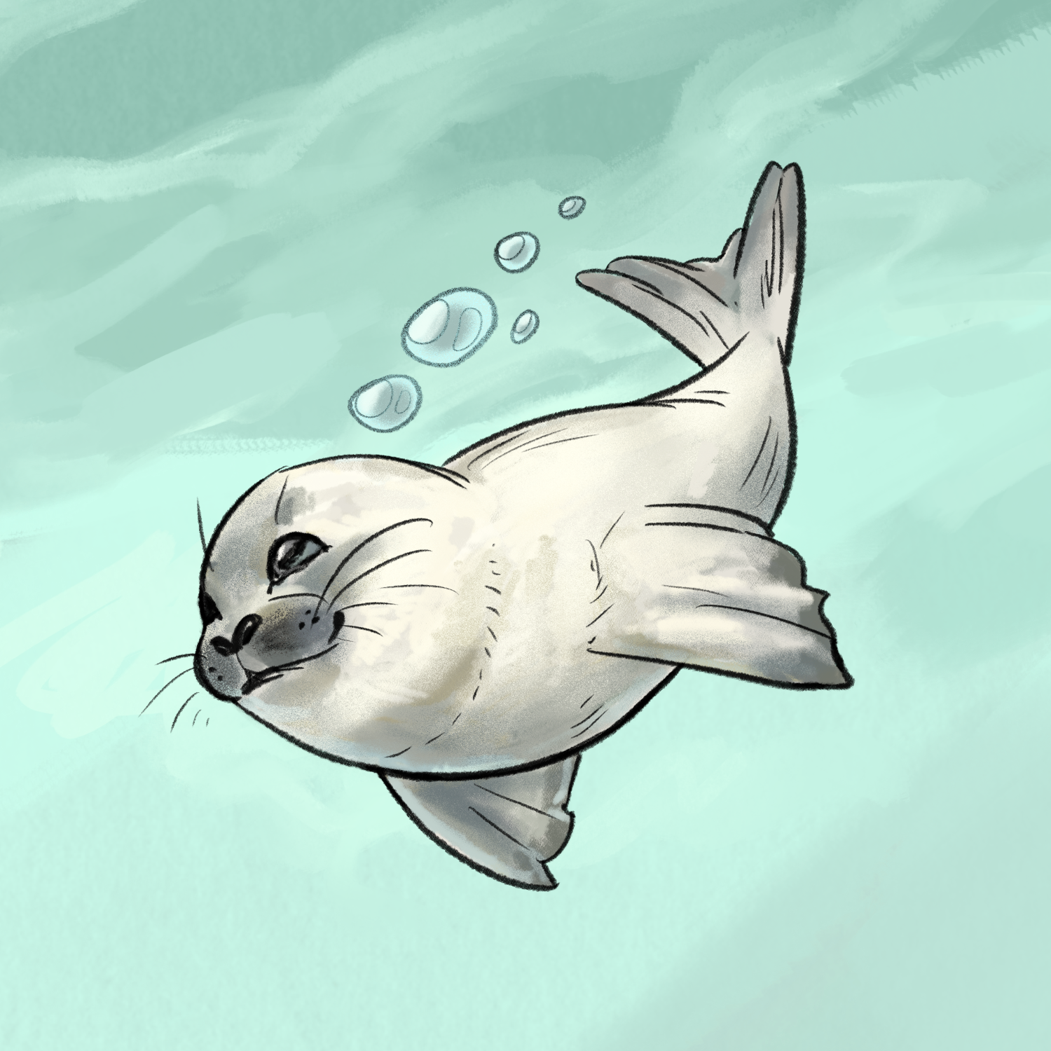 Untitled_Artwork 2.png