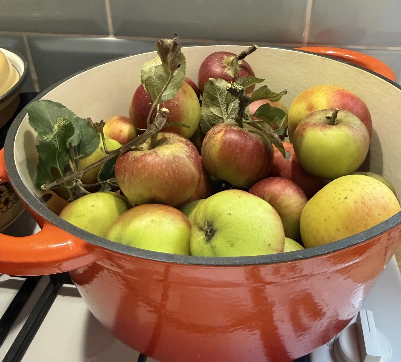 A large orange pot filled with ripe apples, some of which have green and red coloring and were recently picked, with a few leaves still attached to the stems.