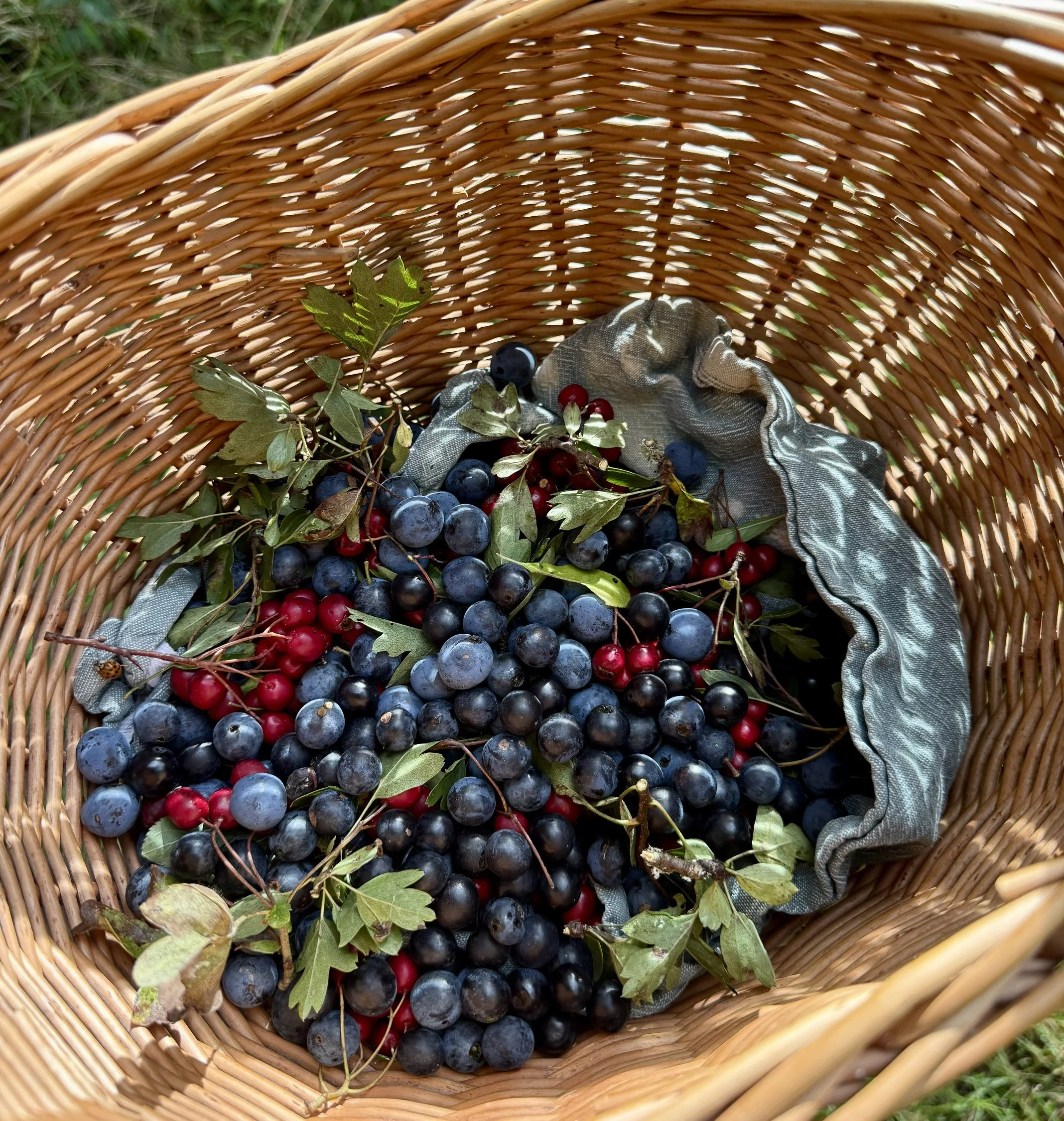 A woven basket filled with assorted blueberries, blackberries, and red berries with green leaves and a cloth lining.