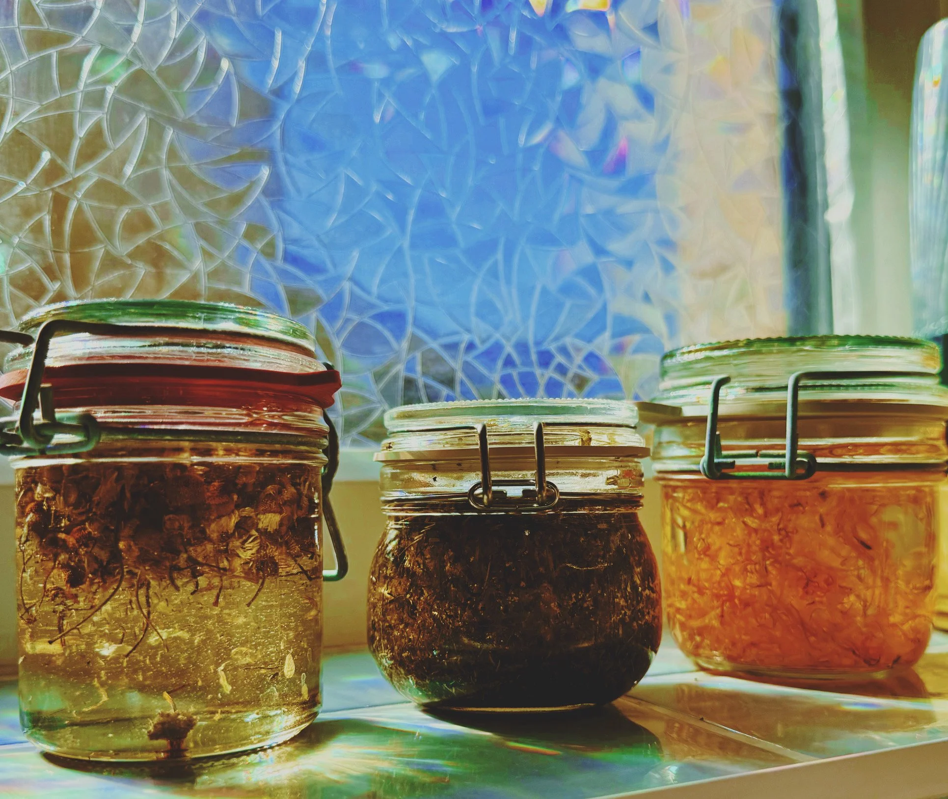 A row of glass jars filled with different layers of soil, roots, and small plants, placed on a shelf. The sunlight illuminates the jars, revealing the textures and colors inside, with a colorful, slightly blurred background.