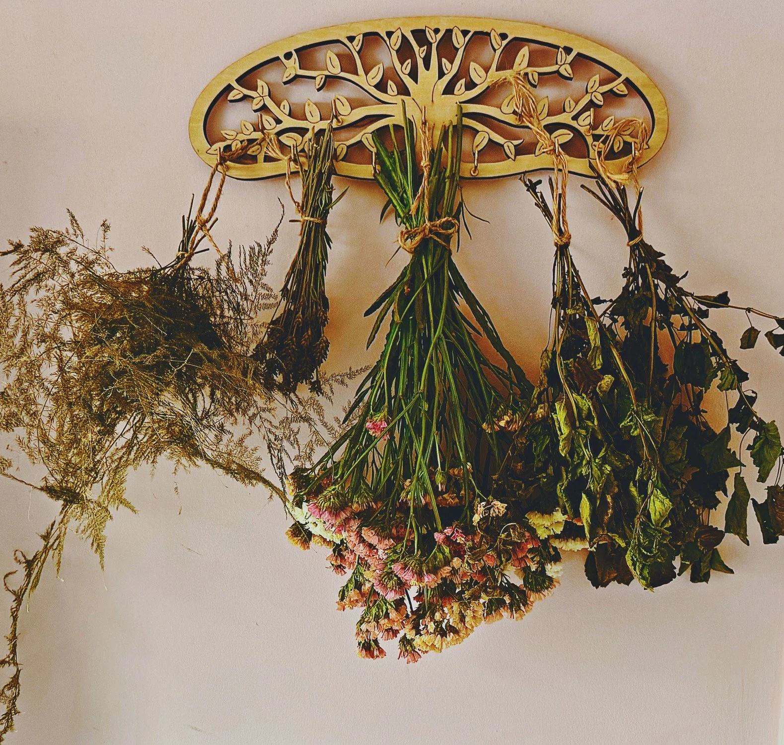Dried flowers and herbs hanging from a decorative wooden wall piece with a tree design.