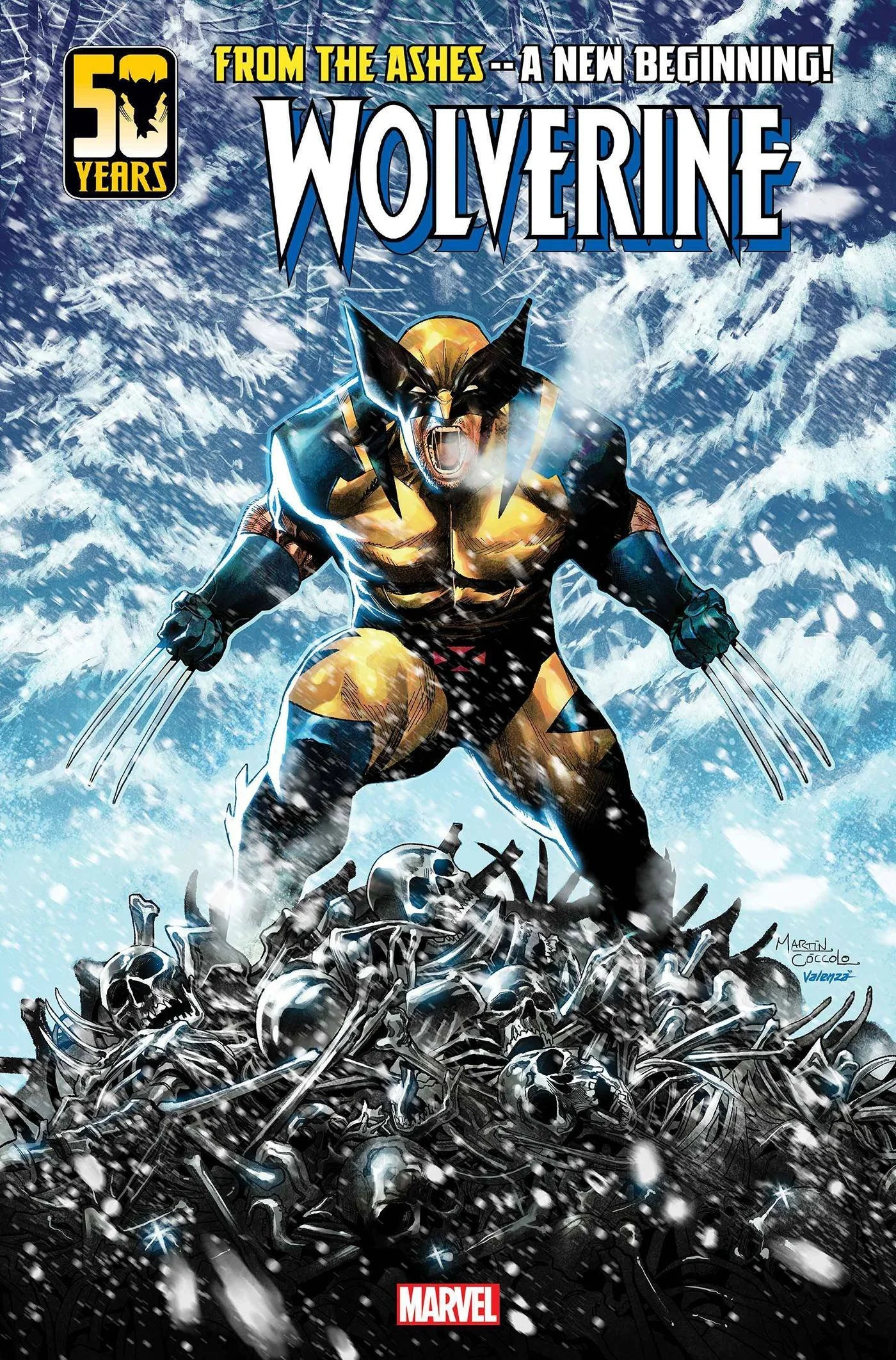 Wolverine.jpg