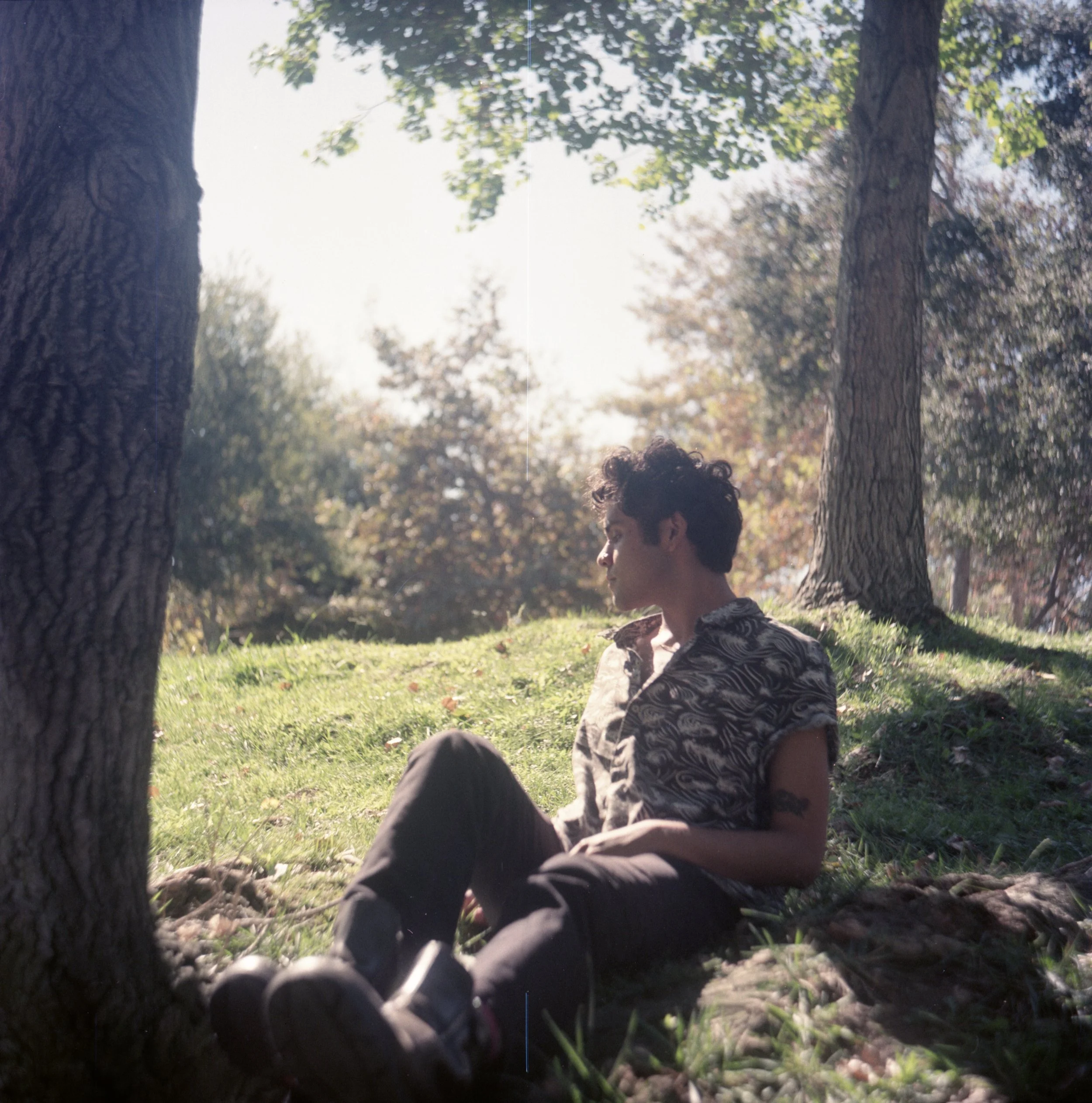 Person sitting under a tree in a park during daytime, with sunlight filtering through the leaves.