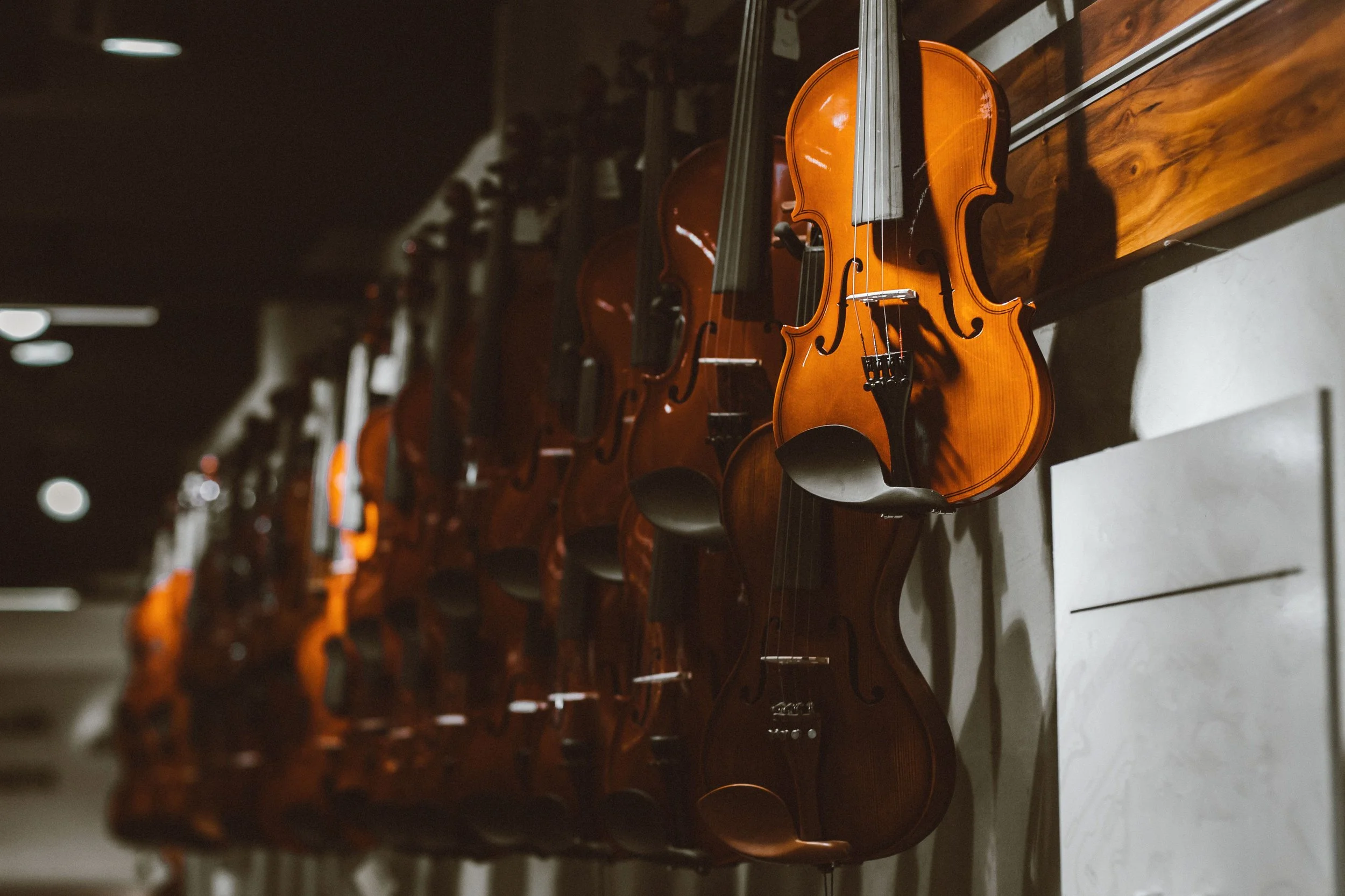 Multiple violins hanging on a wooden rack in a music shop or storage area.