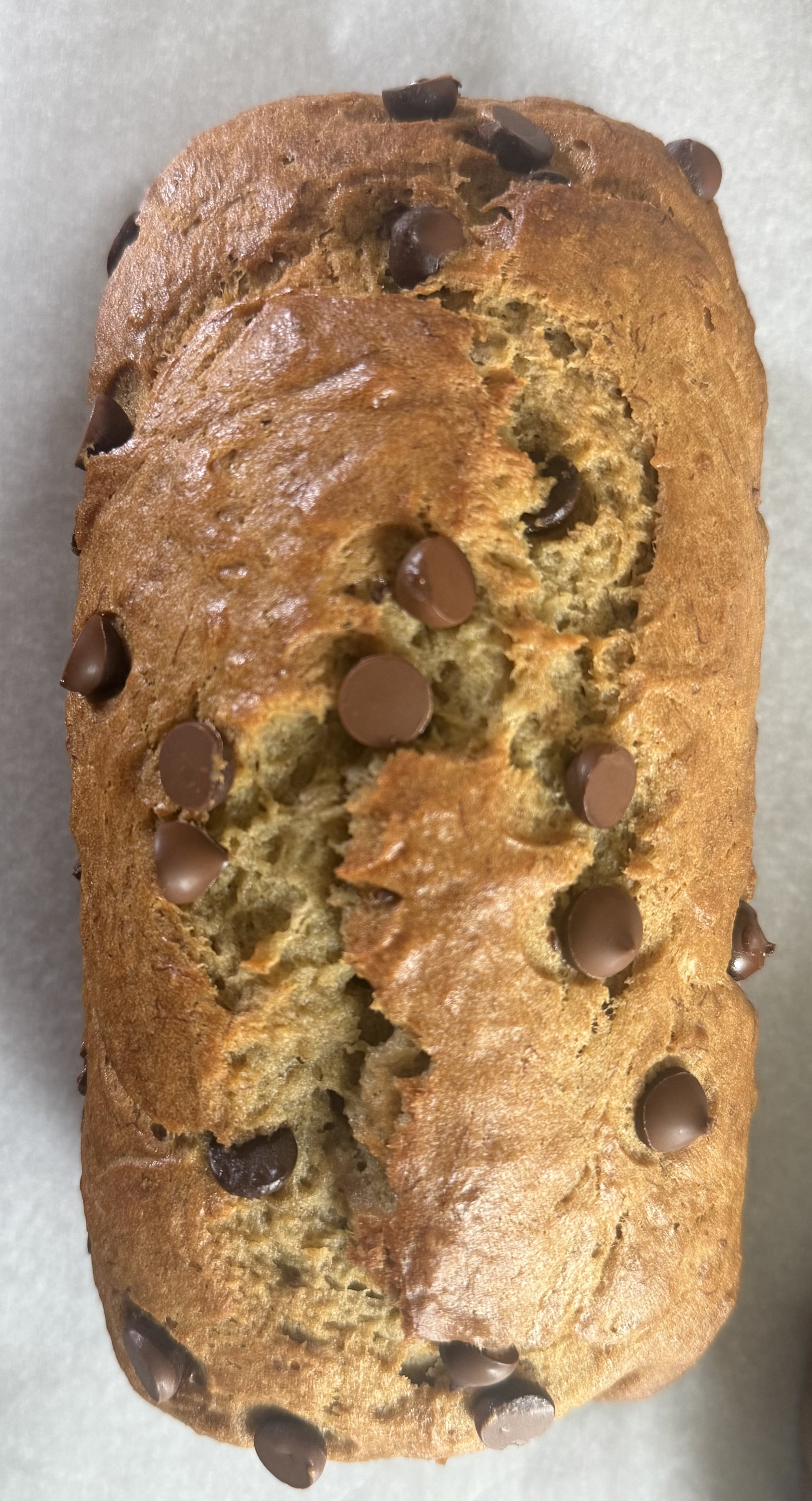 Mini Chocolate Chip Loaf