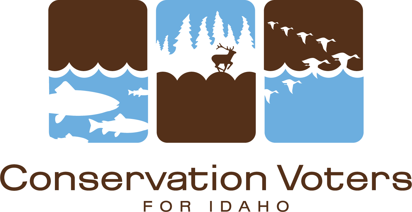 CVI Logo Color.png