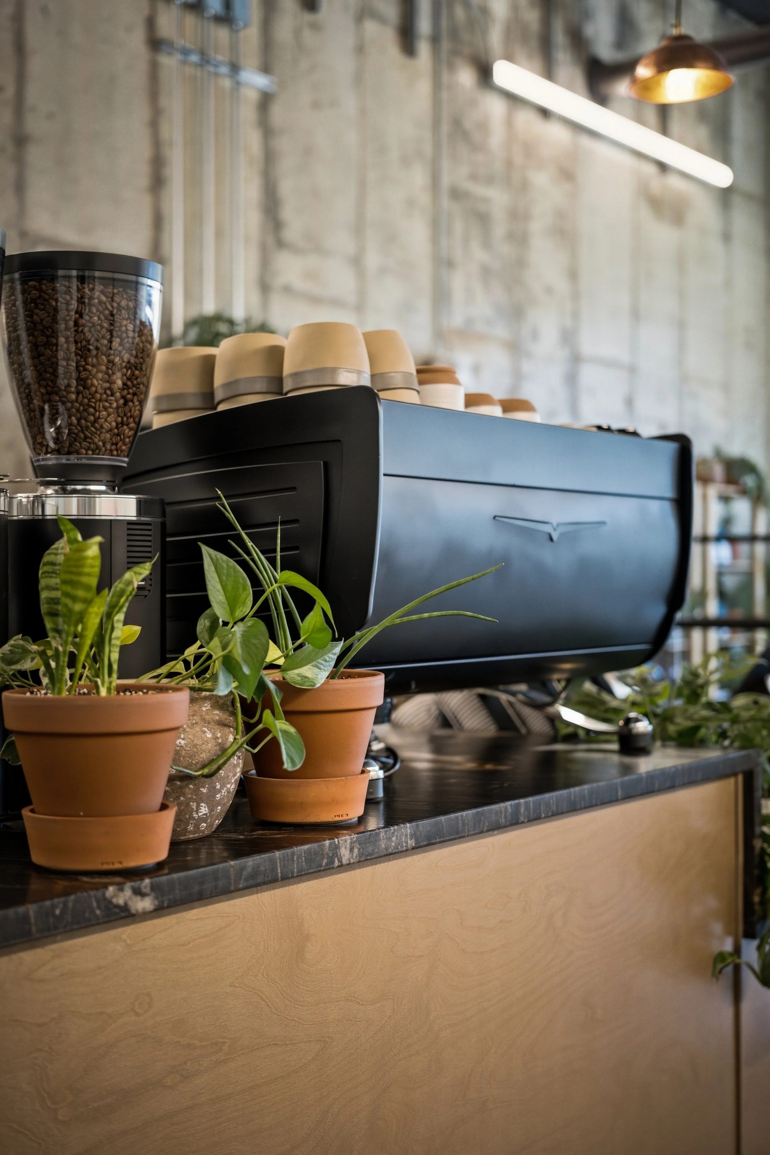 Komodo Coffee22.jpg