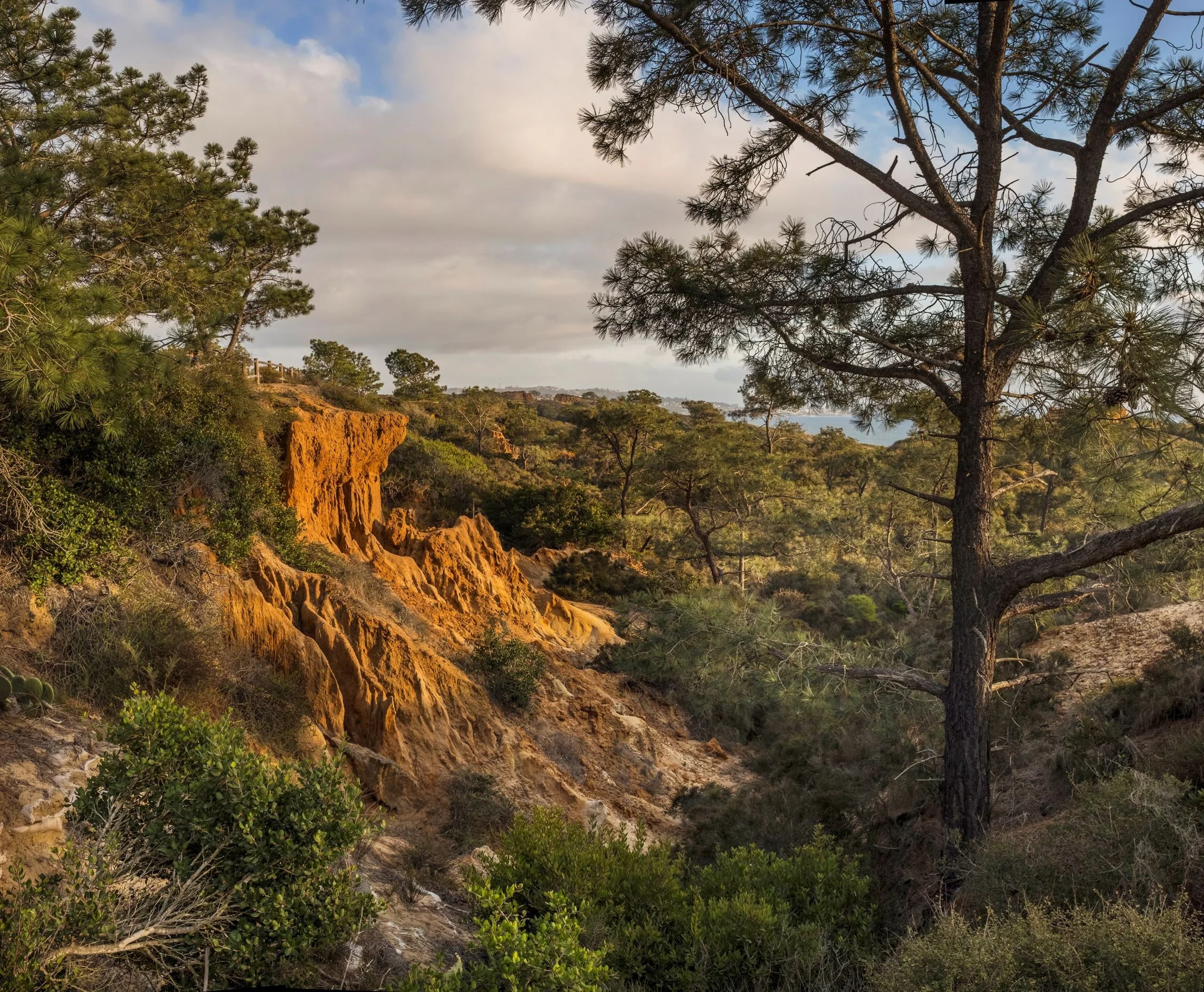 Photograph by John Durant